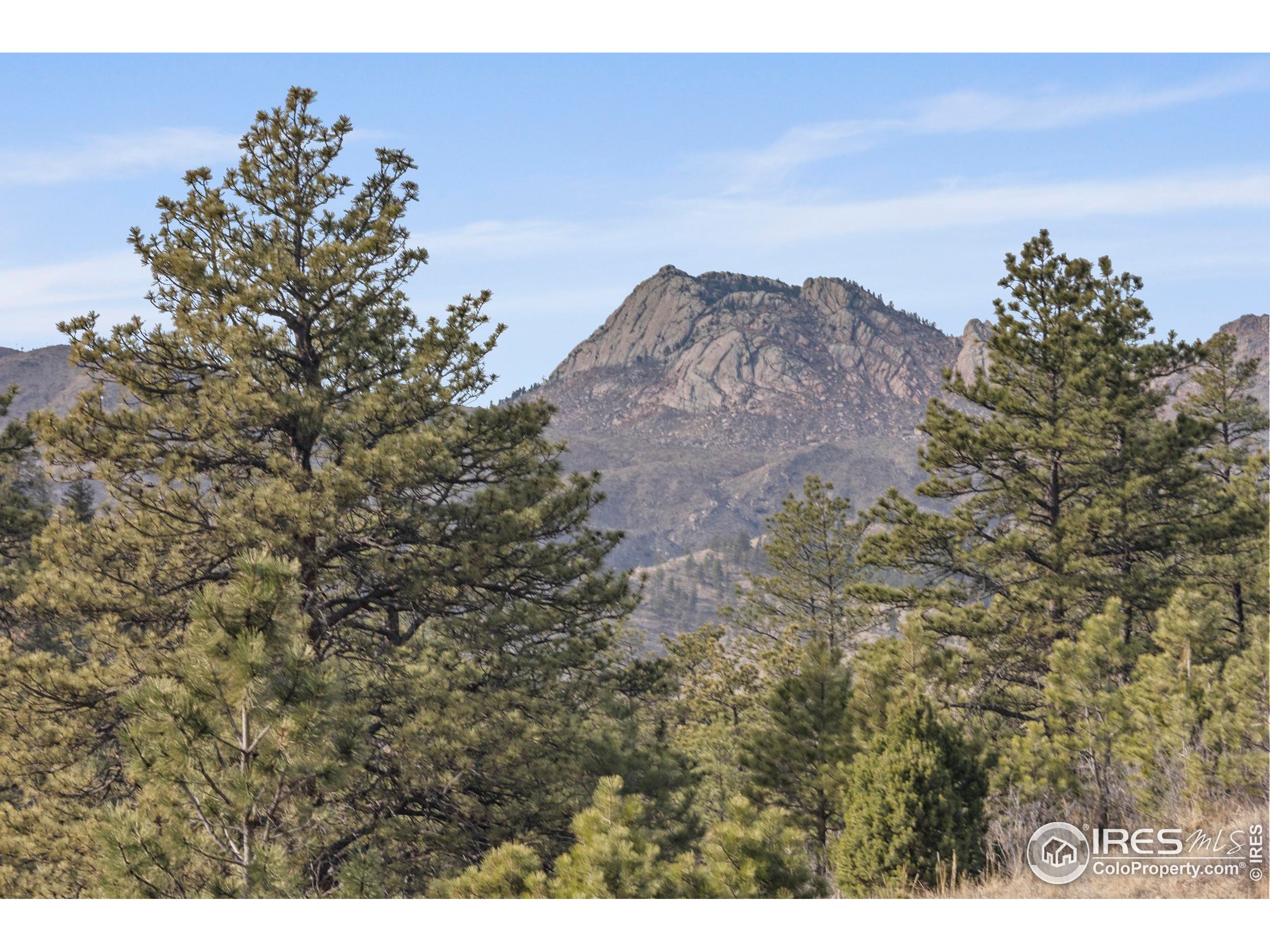 5771 Obenchain Road Laporte, CO 80535 - Photo 17 of 39 a view of a bunch of trees