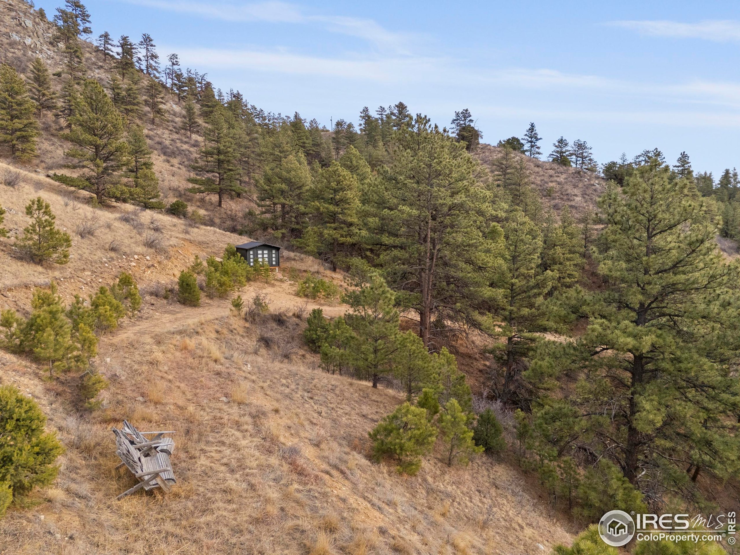 5771 Obenchain Road Laporte, CO 80535 - Photo 18 of 39 a view of a dry yard with trees and houses