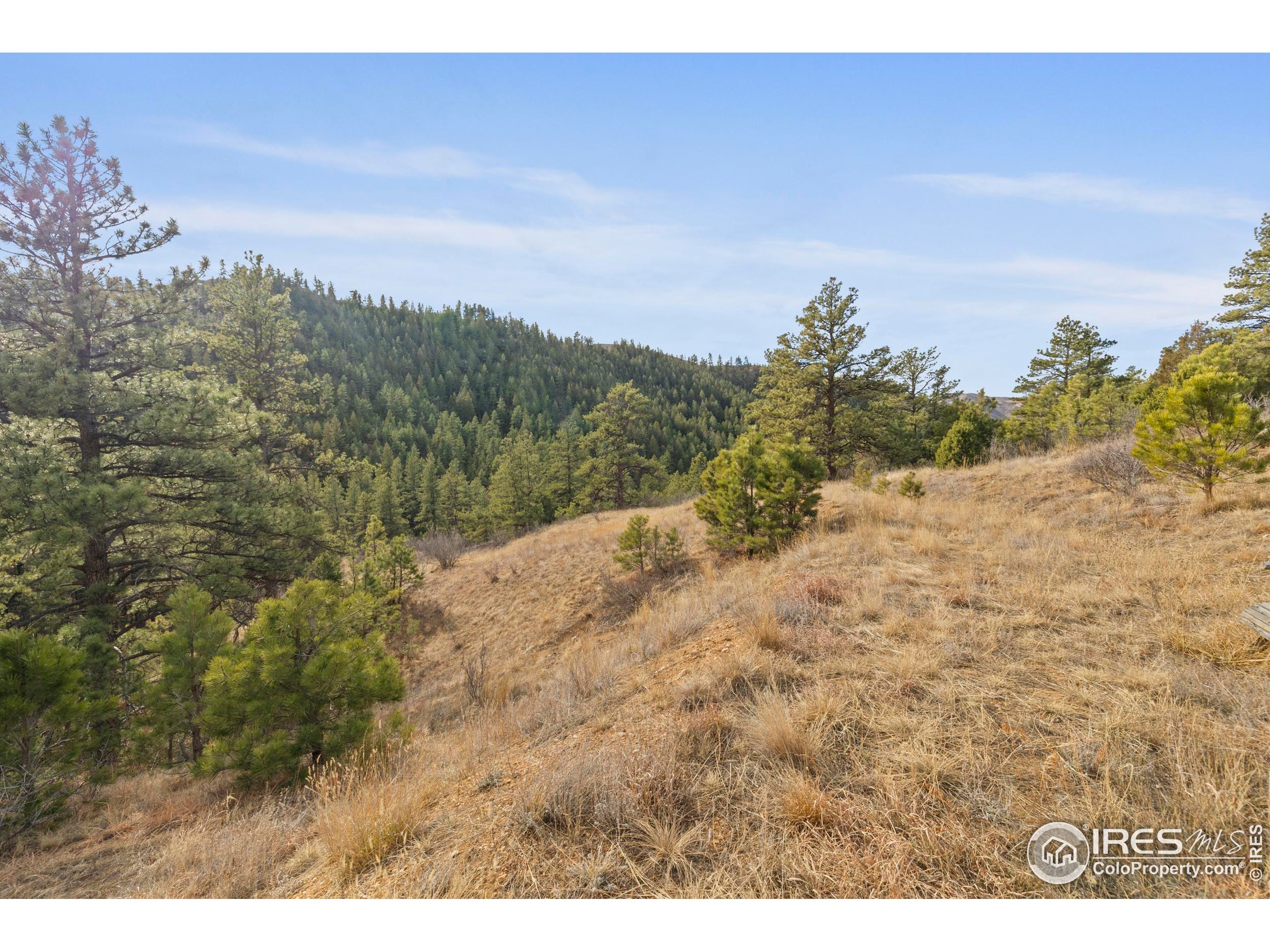 5771 Obenchain Road Laporte, CO 80535 - Photo 19 of 39 a view of a dry yard