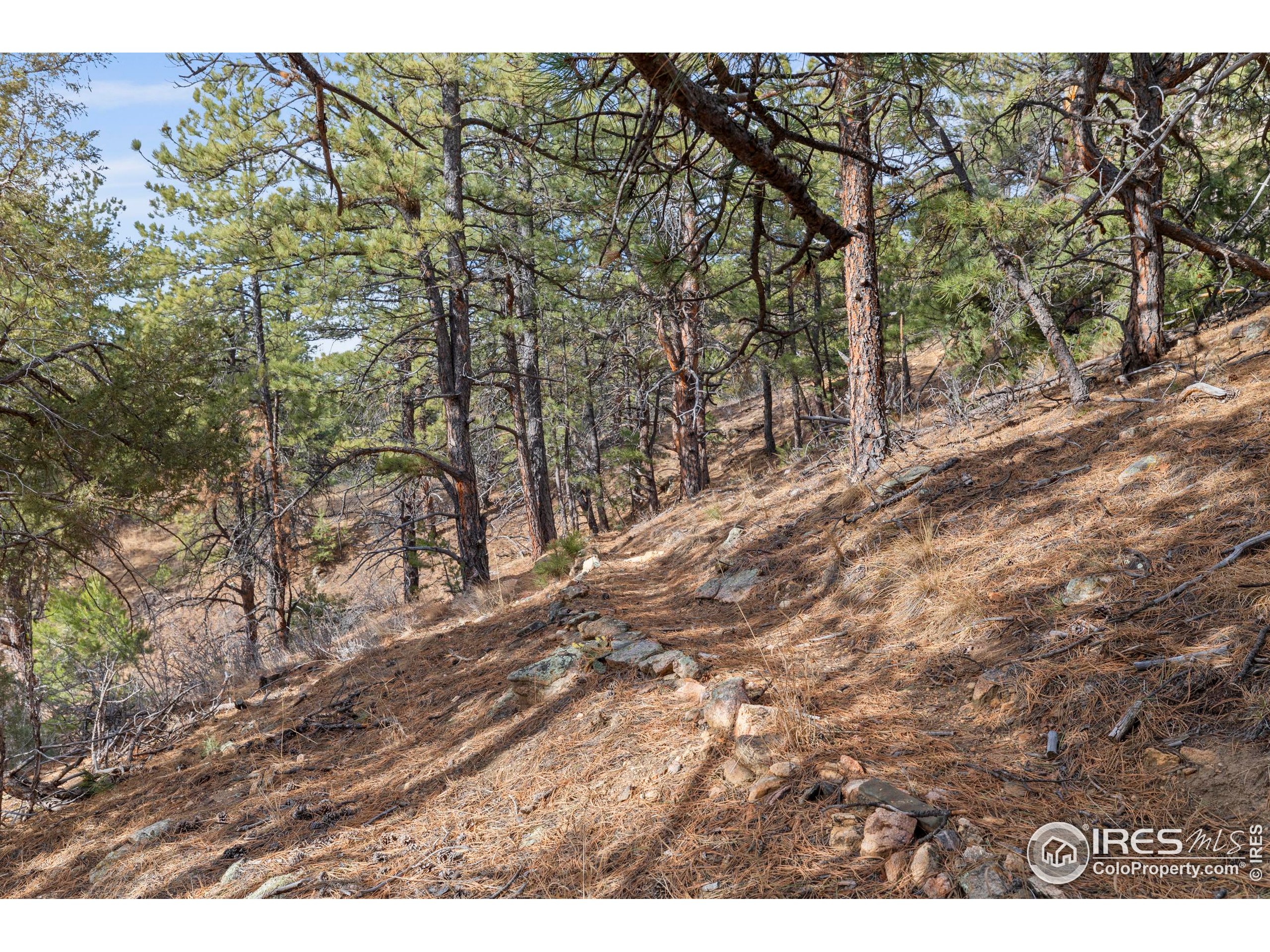 5771 Obenchain Road Laporte, CO 80535 - Photo 22 of 39 a view of outdoor space and yard