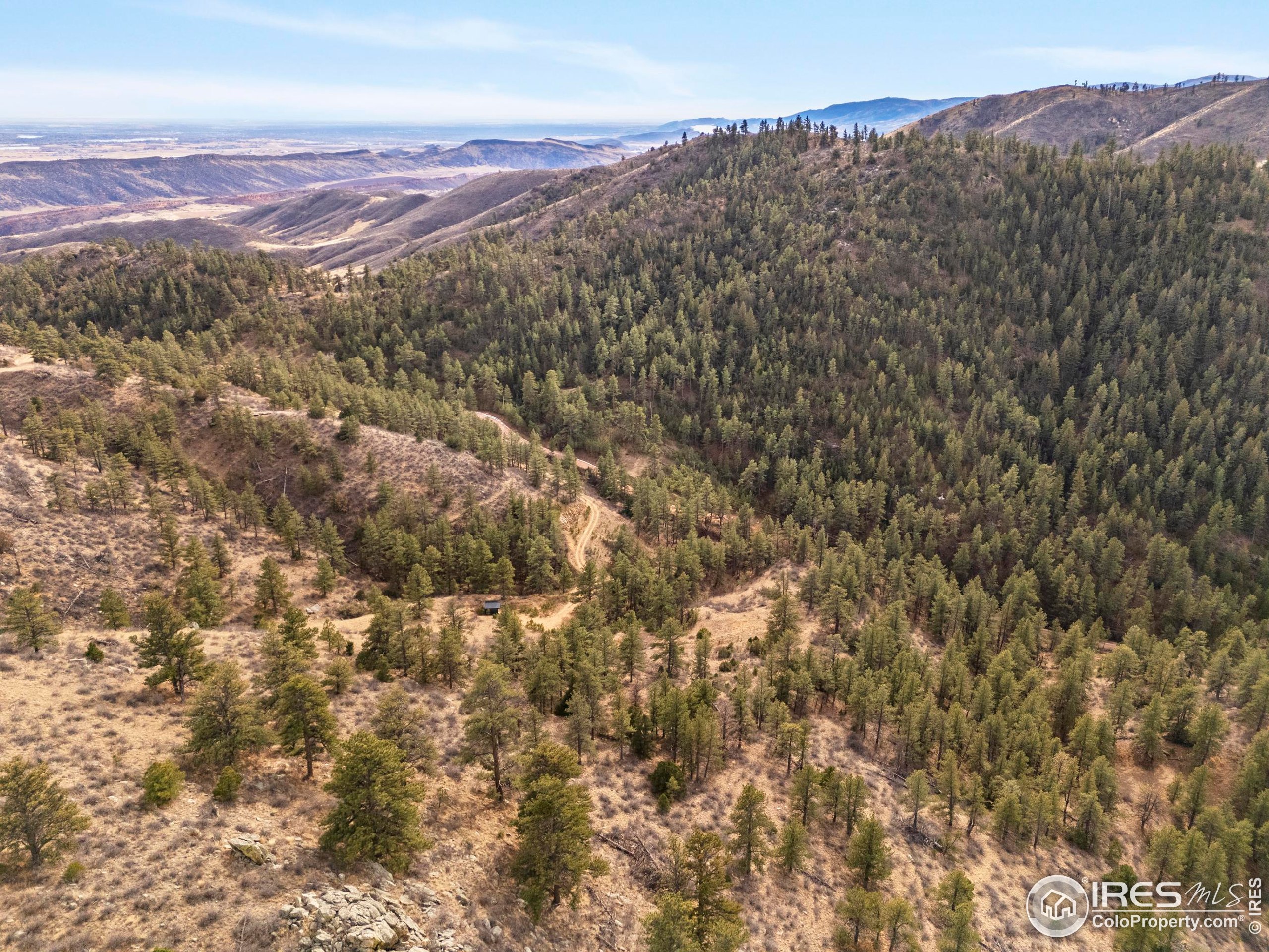 5771 Obenchain Road Laporte, CO 80535 - Photo 25 of 39 a view of a large tree with a mountain in the background