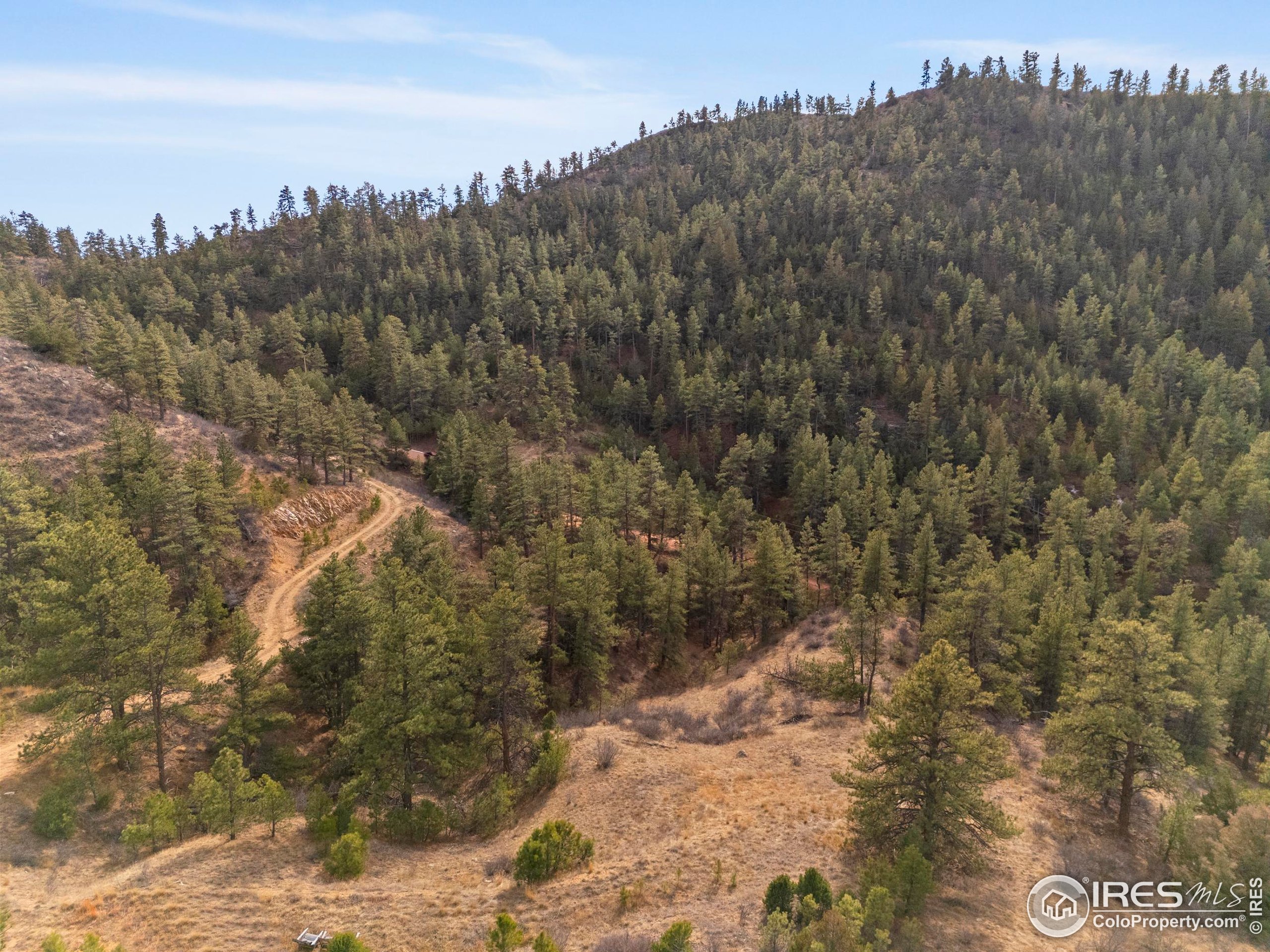 5771 Obenchain Road Laporte, CO 80535 - Photo 27 of 39 a view of a dry yard with trees in the background