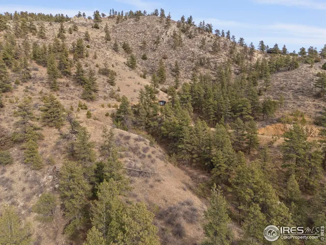 a view of a yard with trees in the background