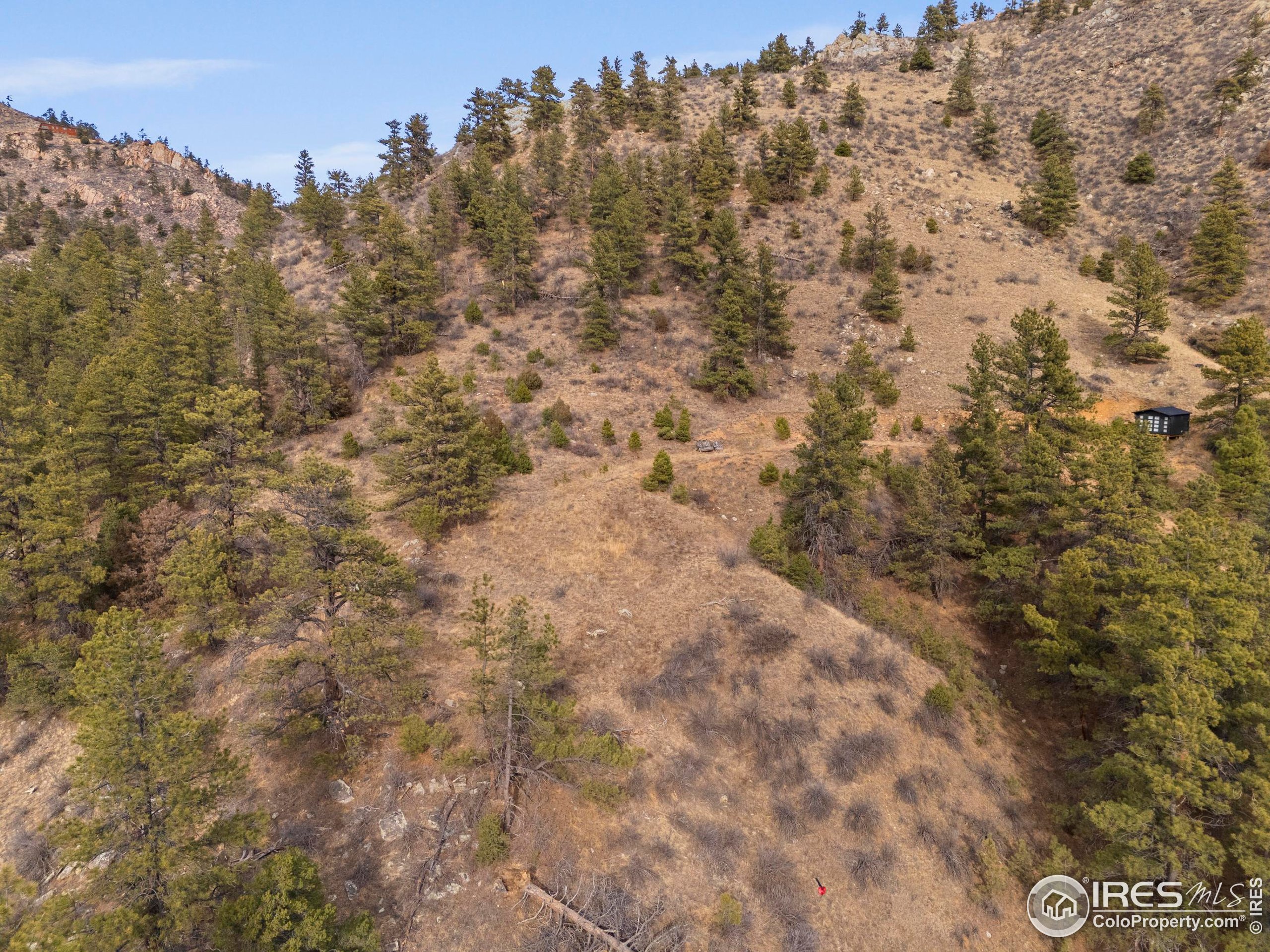 5771 Obenchain Road Laporte, CO 80535 - Photo 36 of 39 a view of a yard with trees in the background