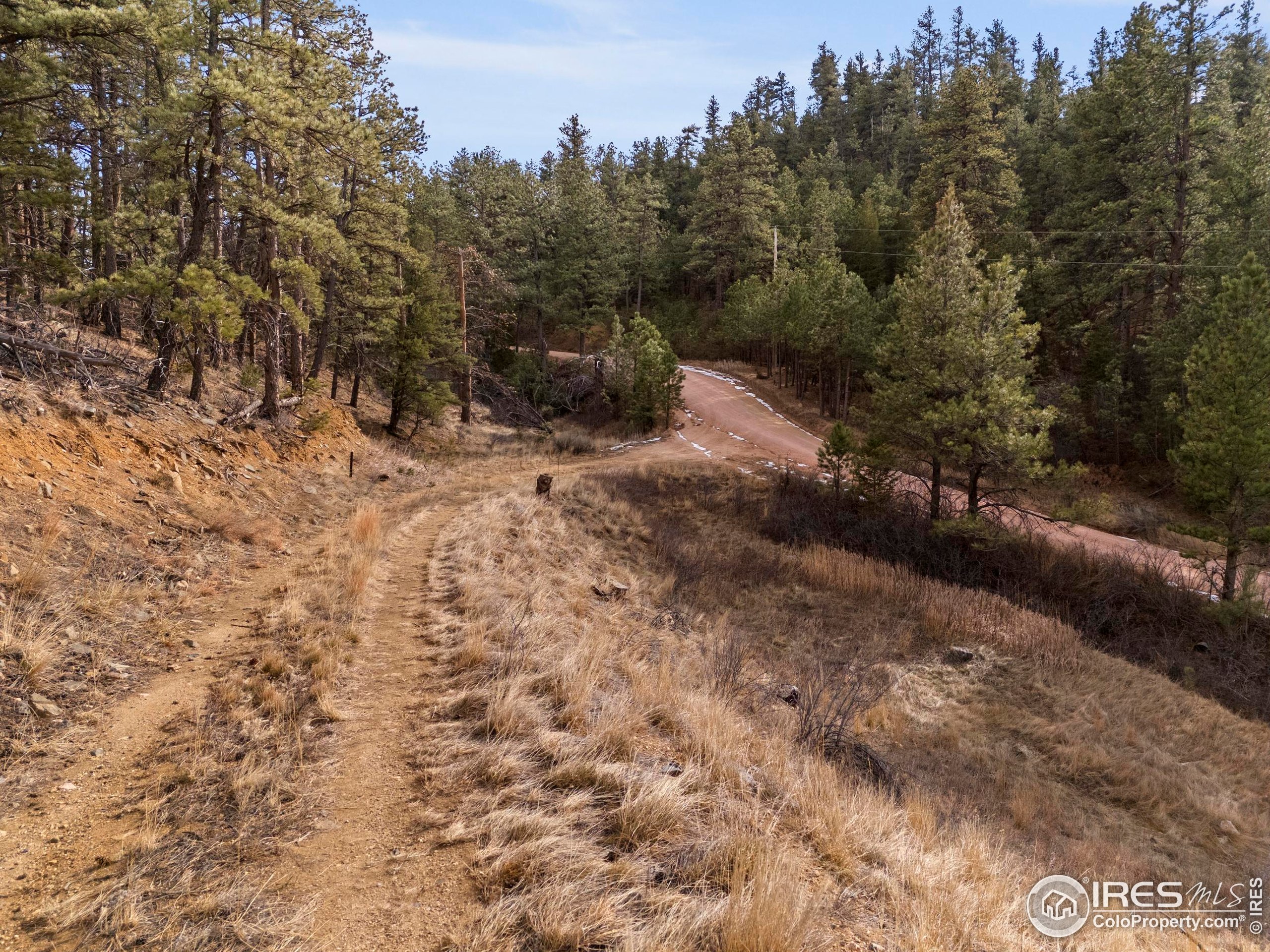 5771 Obenchain Road Laporte, CO 80535 - Photo 4 of 39 a view of a forest with trees in the background
