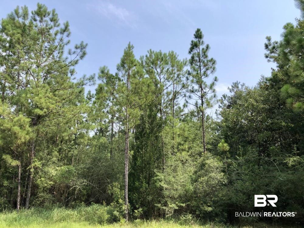 18560 Mason Street Citronelle, AL 36522 - Photo 20 of 45