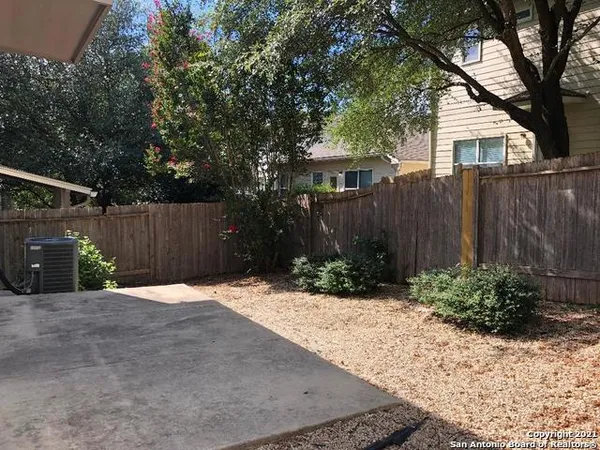 a view of backyard with potted plants and a large tree