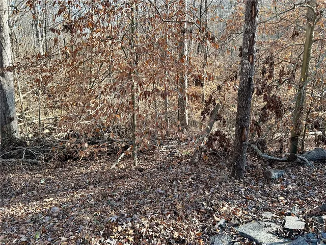 $16,900 | 0 Sutton Cove Court, Westminster, SC 29693