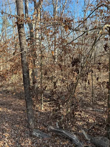 $16,900 | 0 Sutton Cove Court, Westminster, SC 29693