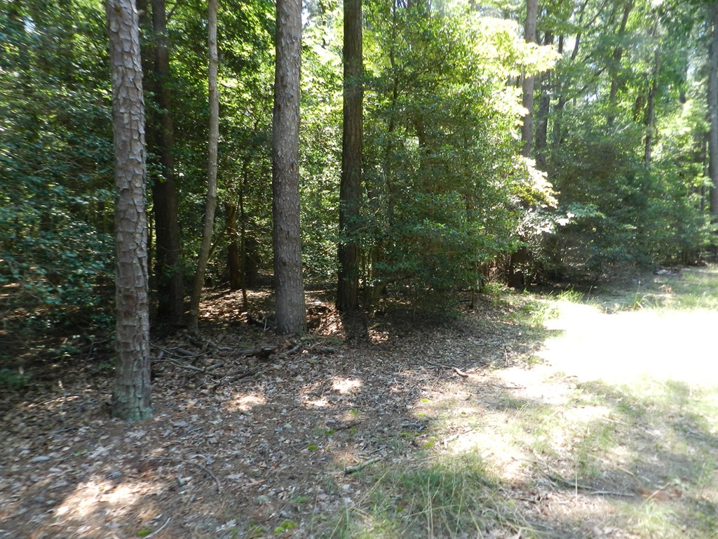 Lot B6 Saltworks Road, Unit B6 Exmore, VA 23350 - Photo 26 of 28