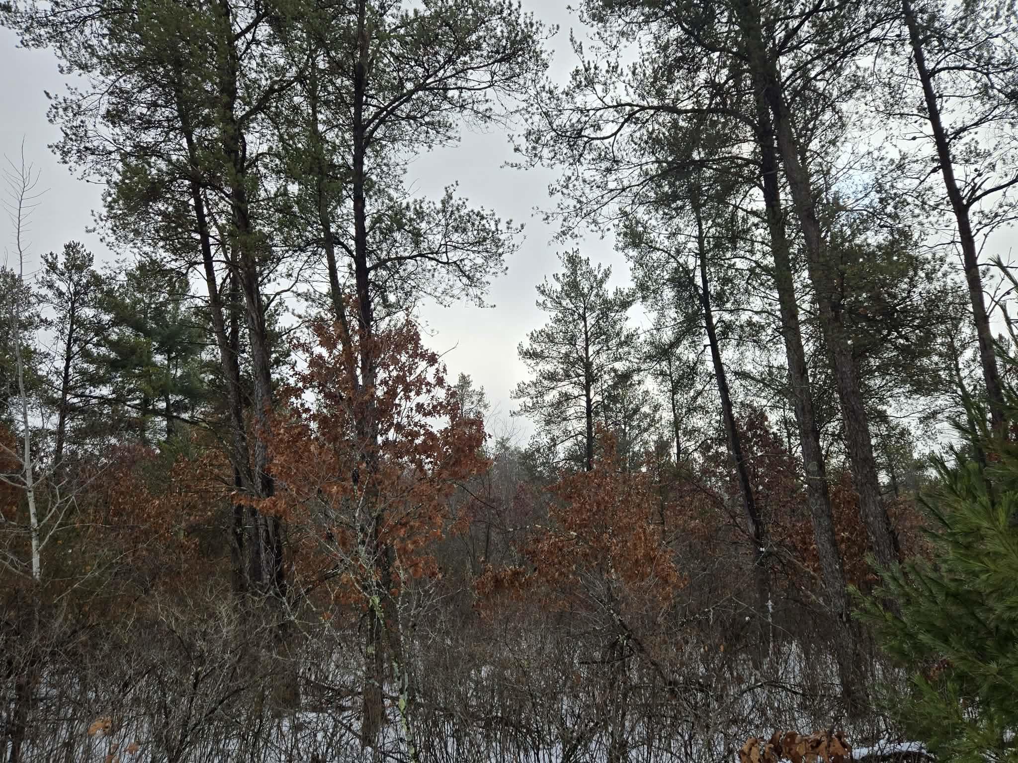 Lot 140 Blackhawk Hancock, WI 54943 - Photo 4 of 6