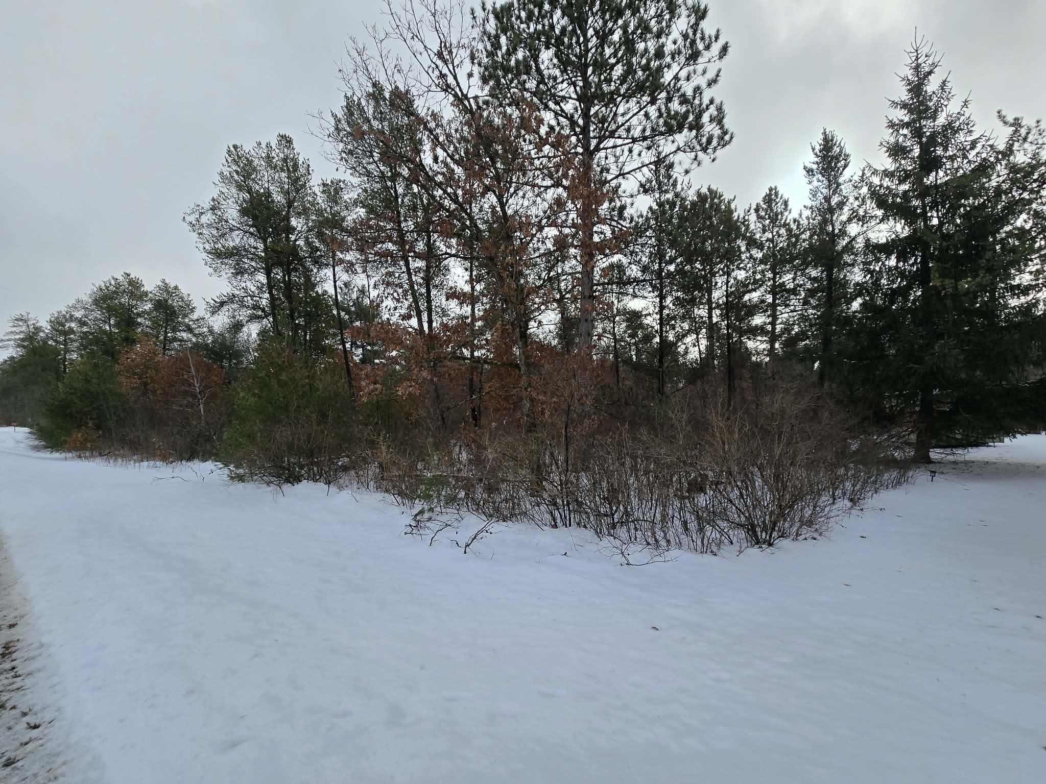 Lot 140 Blackhawk Hancock, WI 54943 - Photo 5 of 6