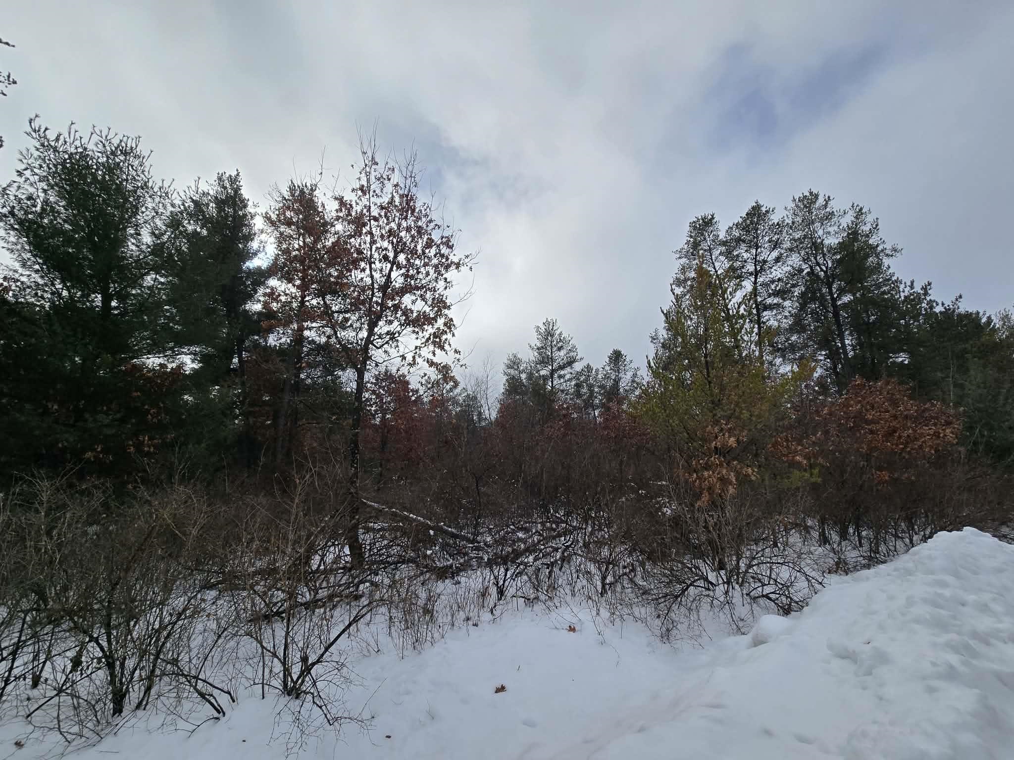 Lot 140 Blackhawk Hancock, WI 54943 - Photo 6 of 6