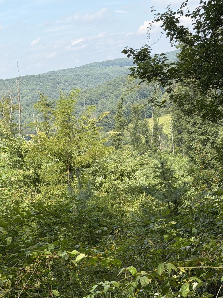 Tbd Baltimore Road Hillsville, VA 24343 - Photo 9 of 50 Gallery Image 9