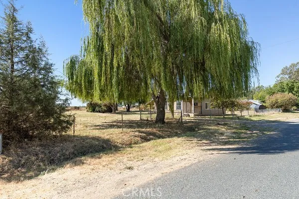 a view of a yard with a tree