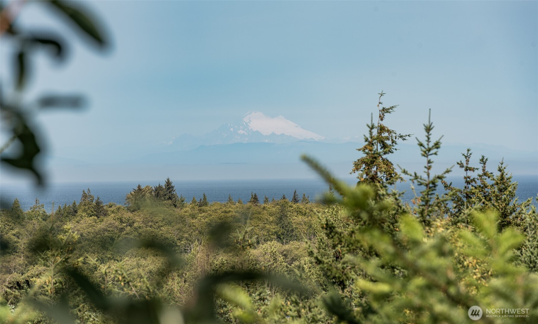 533 Brigadoon Boulevard Sequim, WA 98382 - Photo 12 of 40