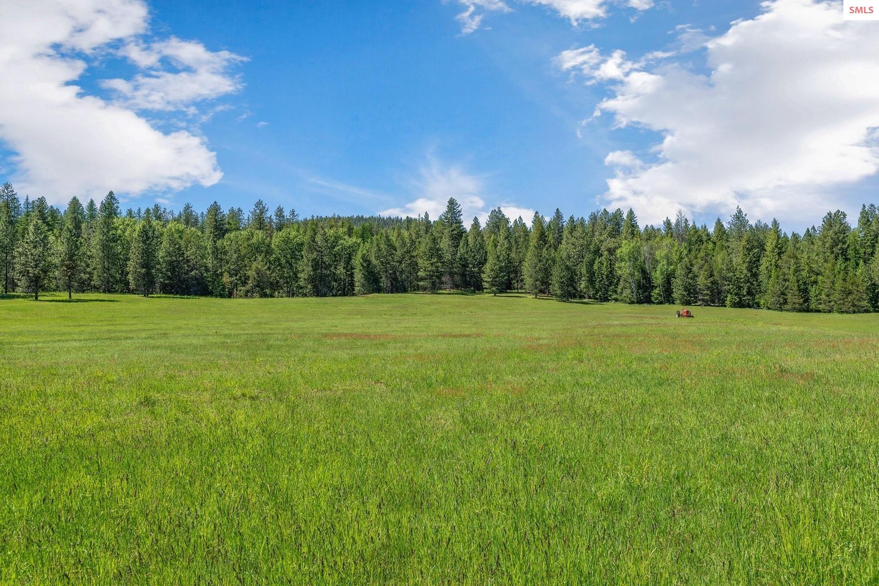 526 Roop Road Cocolalla, ID 83813 - Photo 92 of 100 Large private pasture