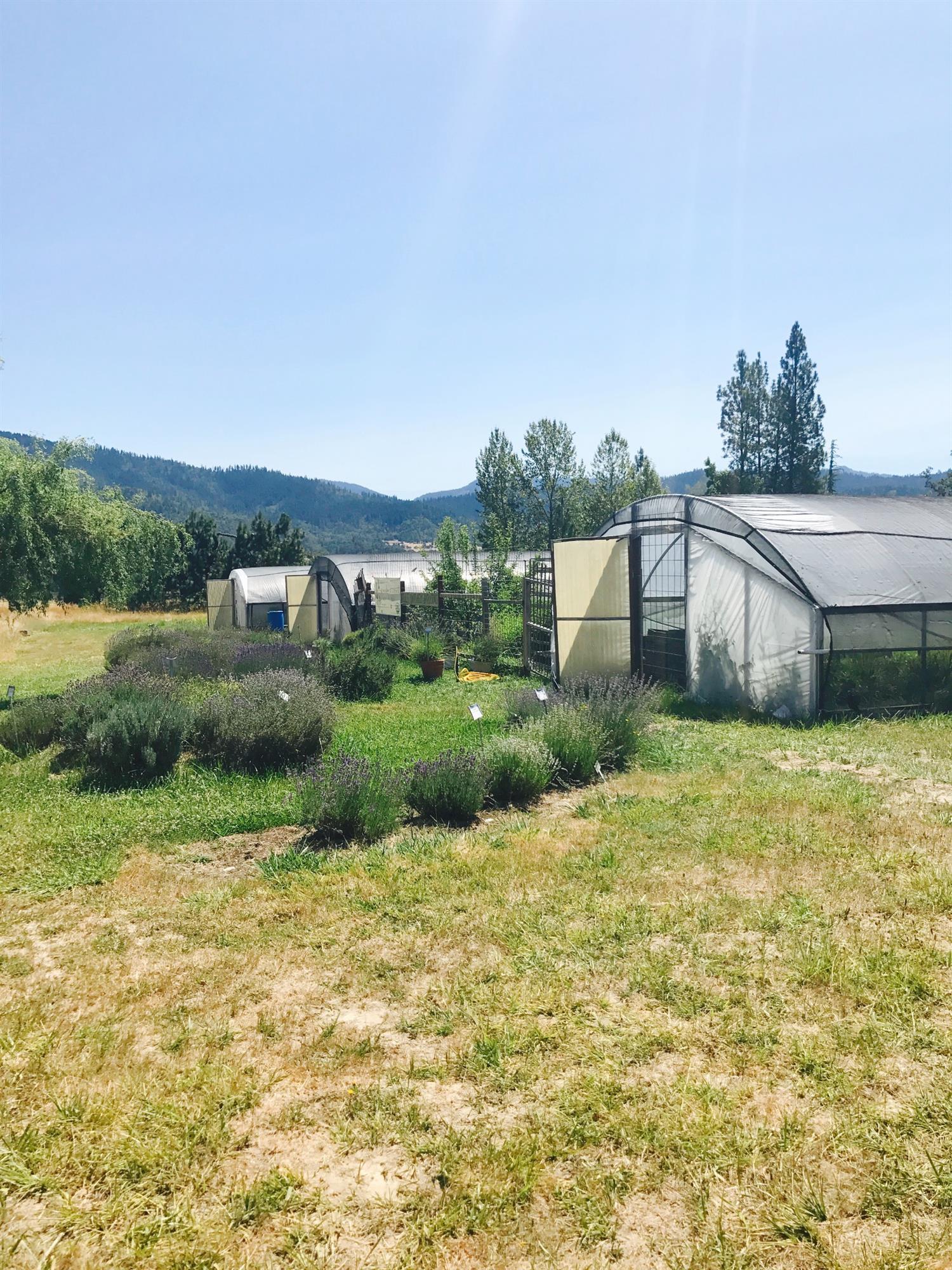 970 Cedar Flat Road Williams, OR 97544 - Photo 13 of 29 Additional Photo