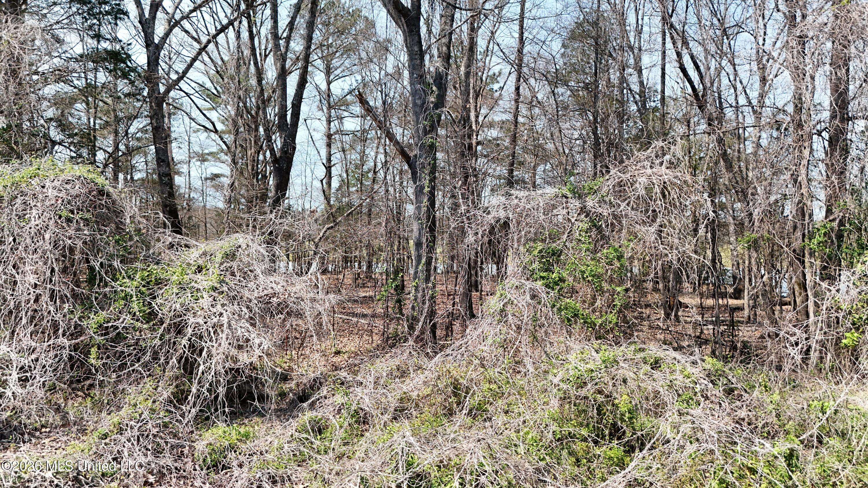 1200 Chulahoma Road Holly Springs, MS 38635 - Photo 44 of 46 DJI_20260321134230_0072_D