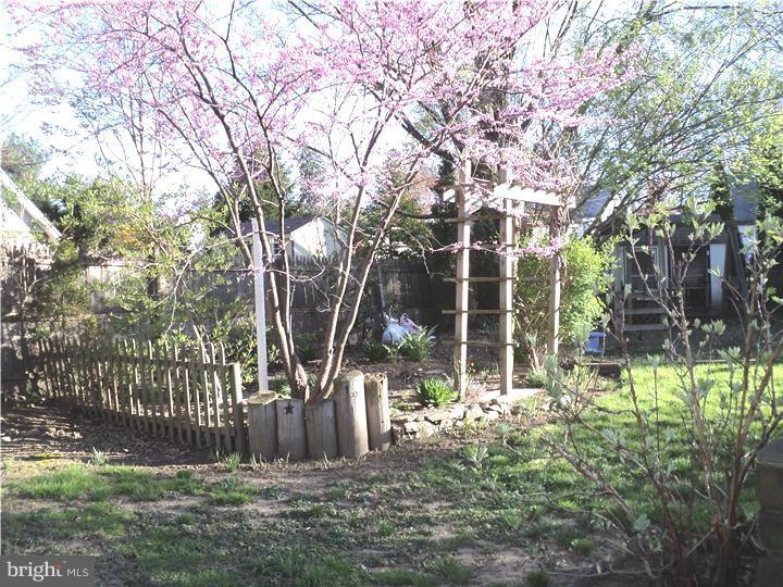 331 Loller Road Hatboro, PA 19040 - Photo 14 of 24 Exterior Back