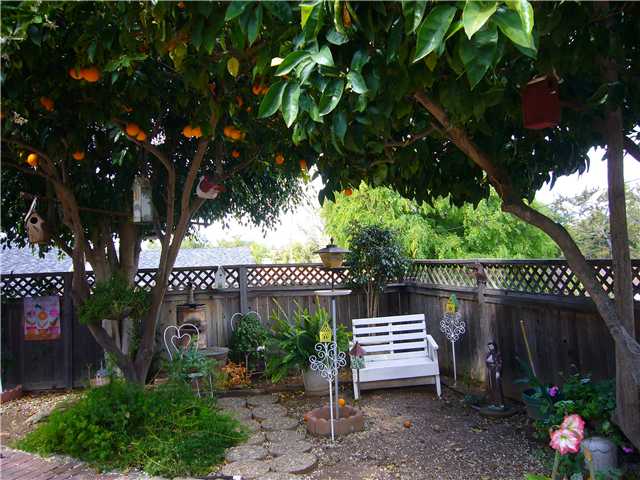 1330 East Fallbrook Street Fallbrook, CA 92028 - Photo 15 of 22 Check out those Oranges! Make a glass of orange juice and just sit and enjoy the birds...