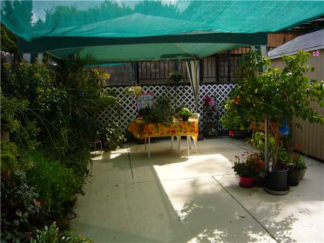 1330 East Fallbrook Street Fallbrook, CA 92028 - Photo 19 of 22 Another Patio area. The "Exercise" Pool is located on an upper level above this patio behind the rod-iron fencing in this photo.
