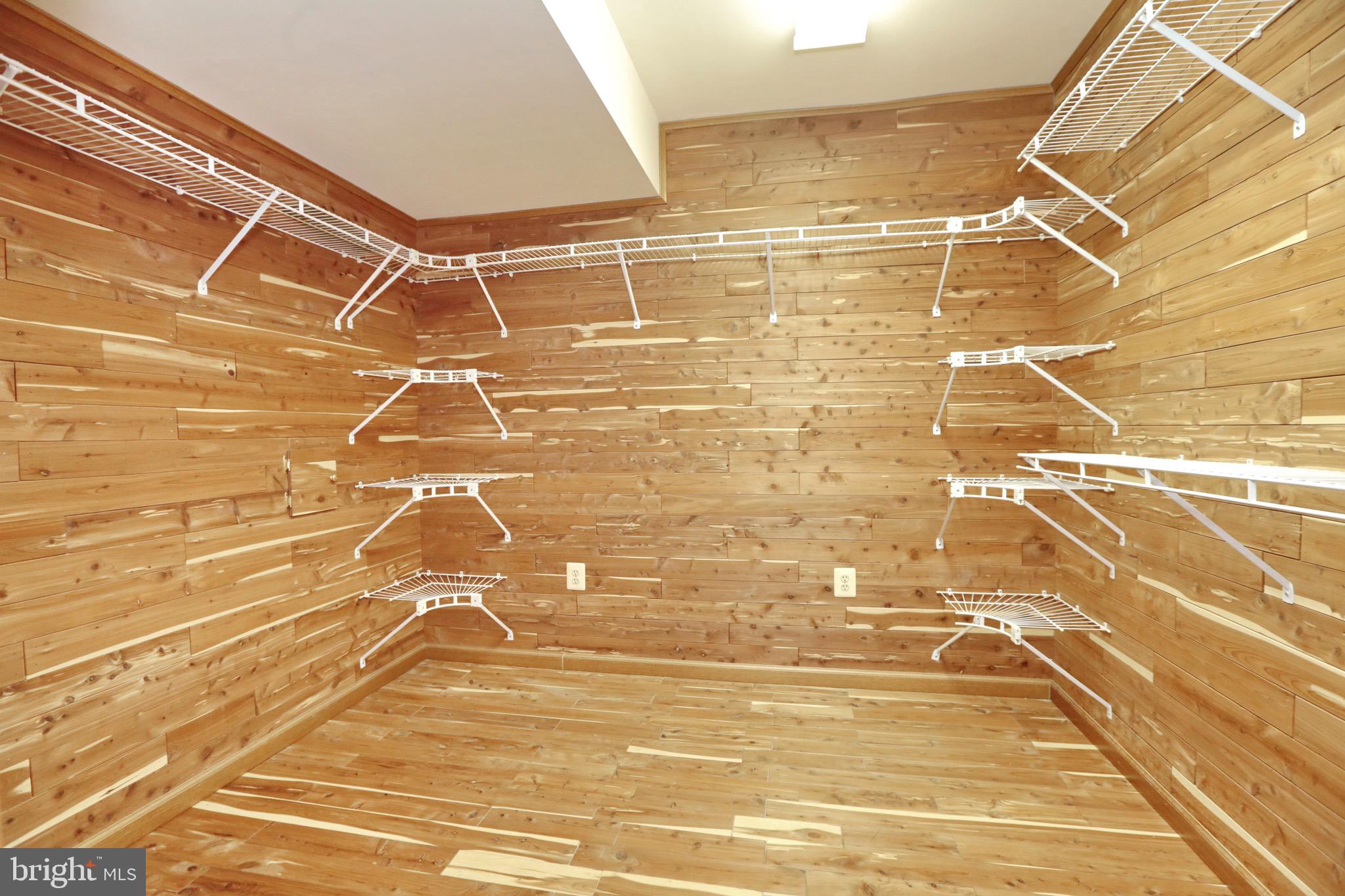 6394 Hawkins Gate Road La Plata, MD 20646 - Photo 91 of 94 Cedar Storage Room