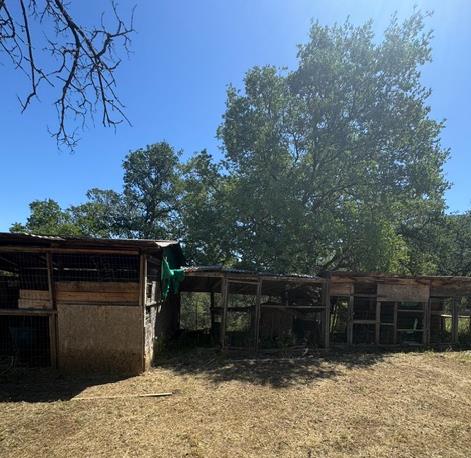 16164 Nugget Road Corning, CA 96021 - Photo 19 of 53 other structures connected to the chicken coup.