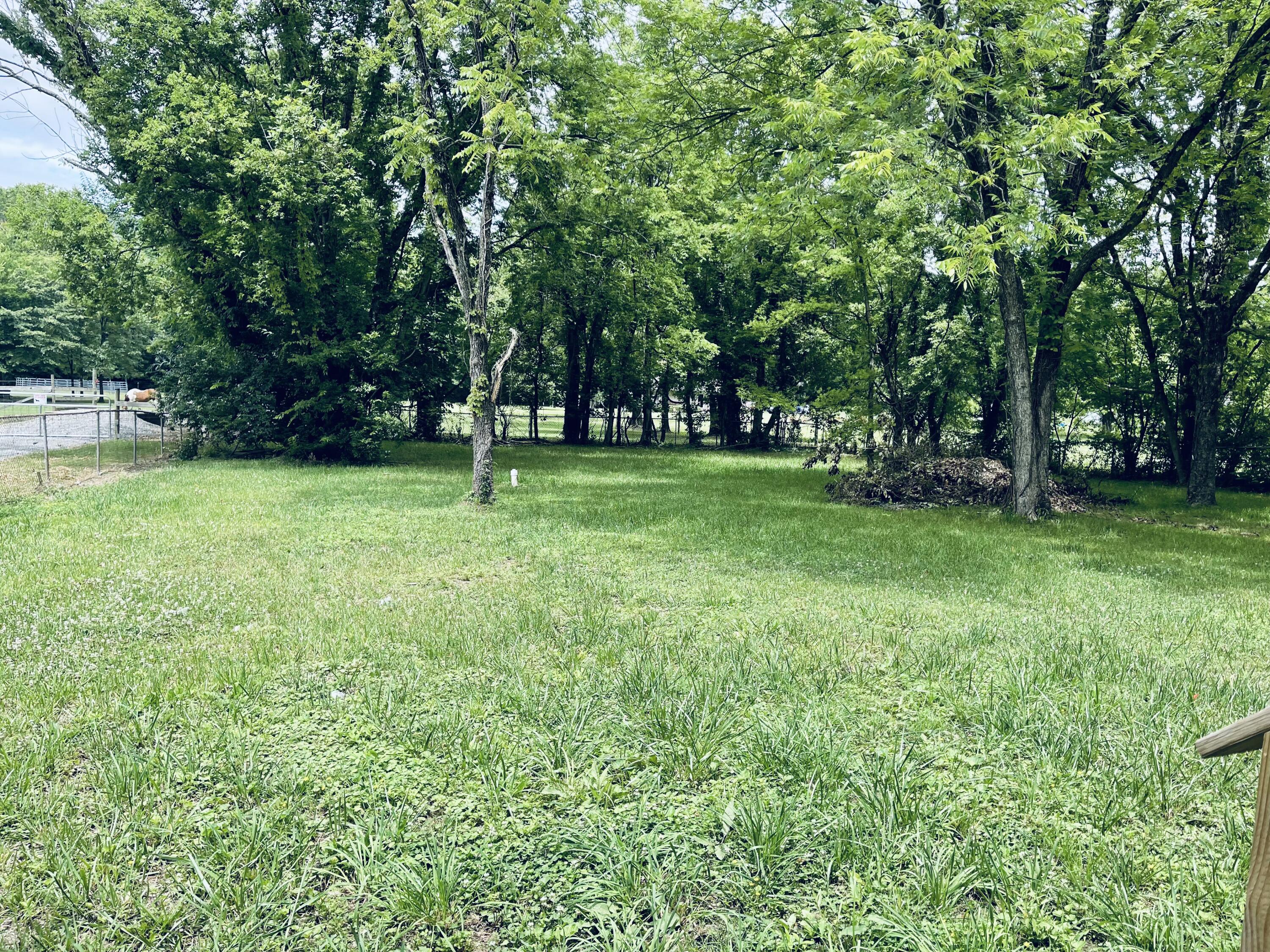 349 Browns Ferry Road Chattanooga, TN 37419 - Photo 20 of 22 IMG_6702
