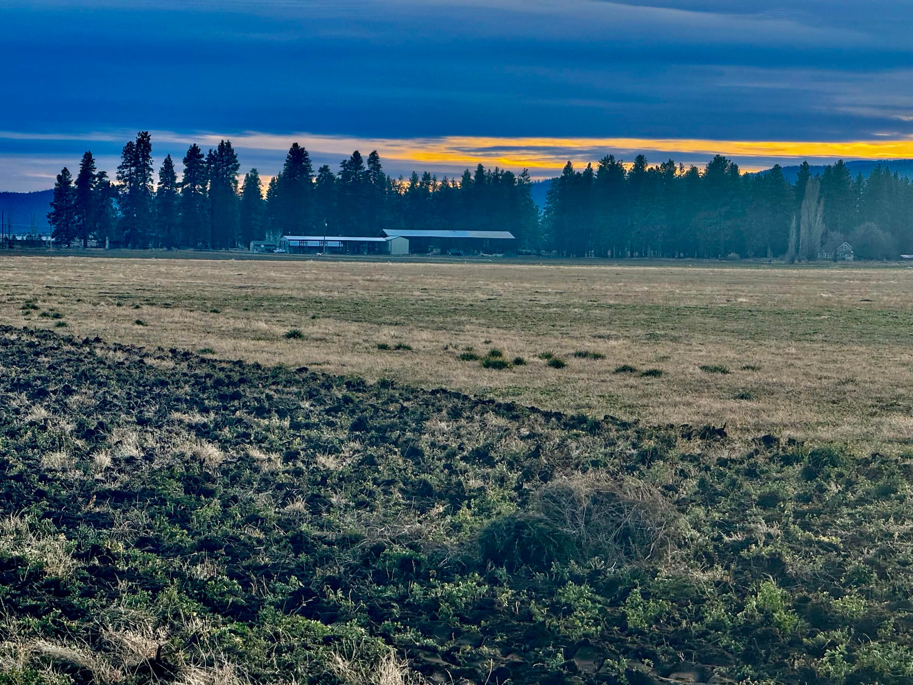 9890 Bliss Road Bonanza, OR 97623 - Photo 5 of 6 Bliss Road