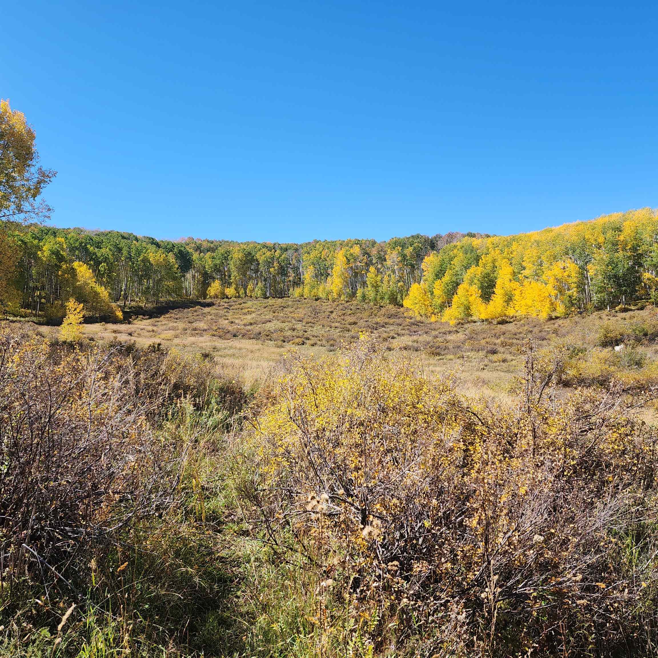 Tbd Z S Road Whitewater, CO 81527 - Photo 20 of 27 a view of ocean view with beach