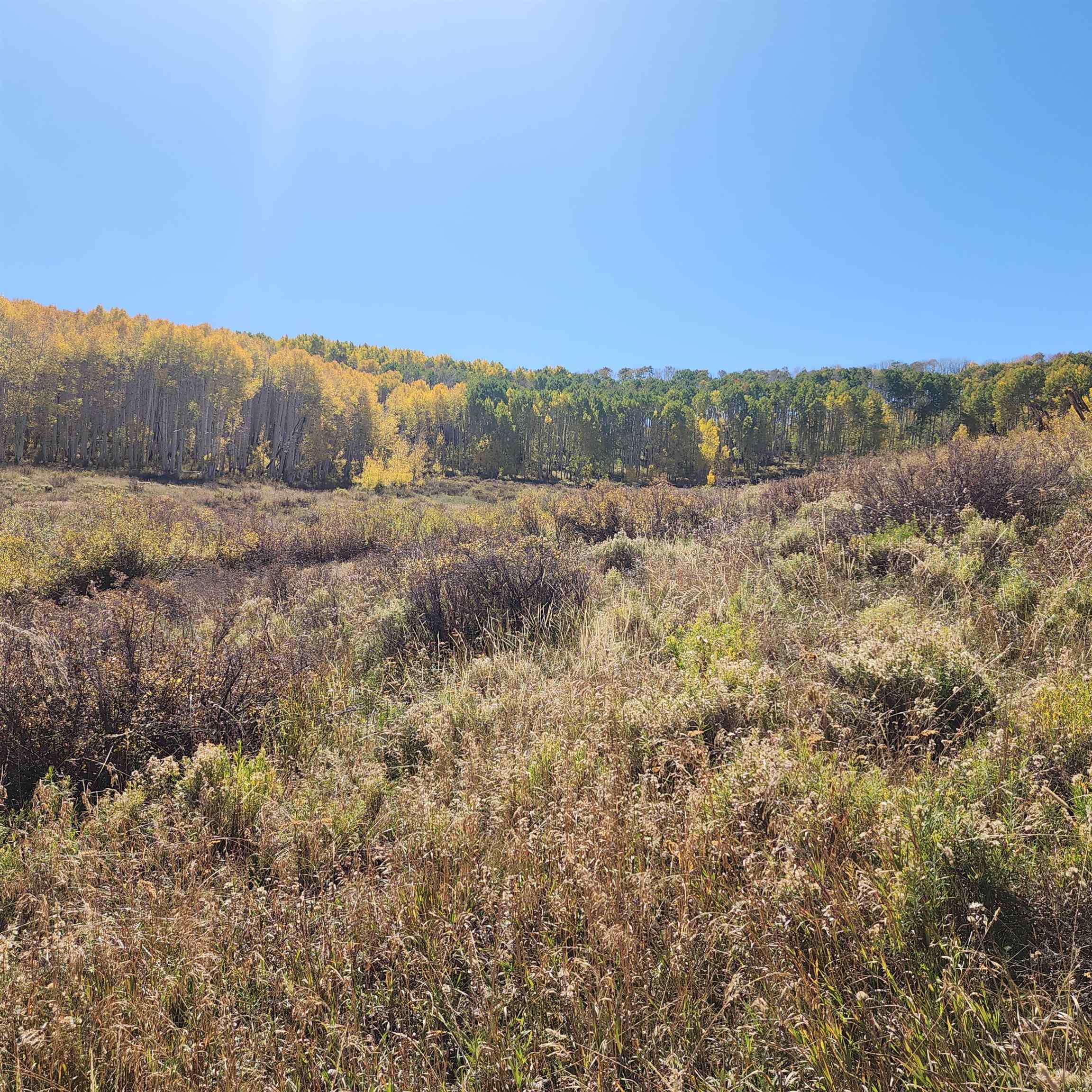 Tbd Z S Road Whitewater, CO 81527 - Photo 27 of 27 a view of an outdoor space with mountain view