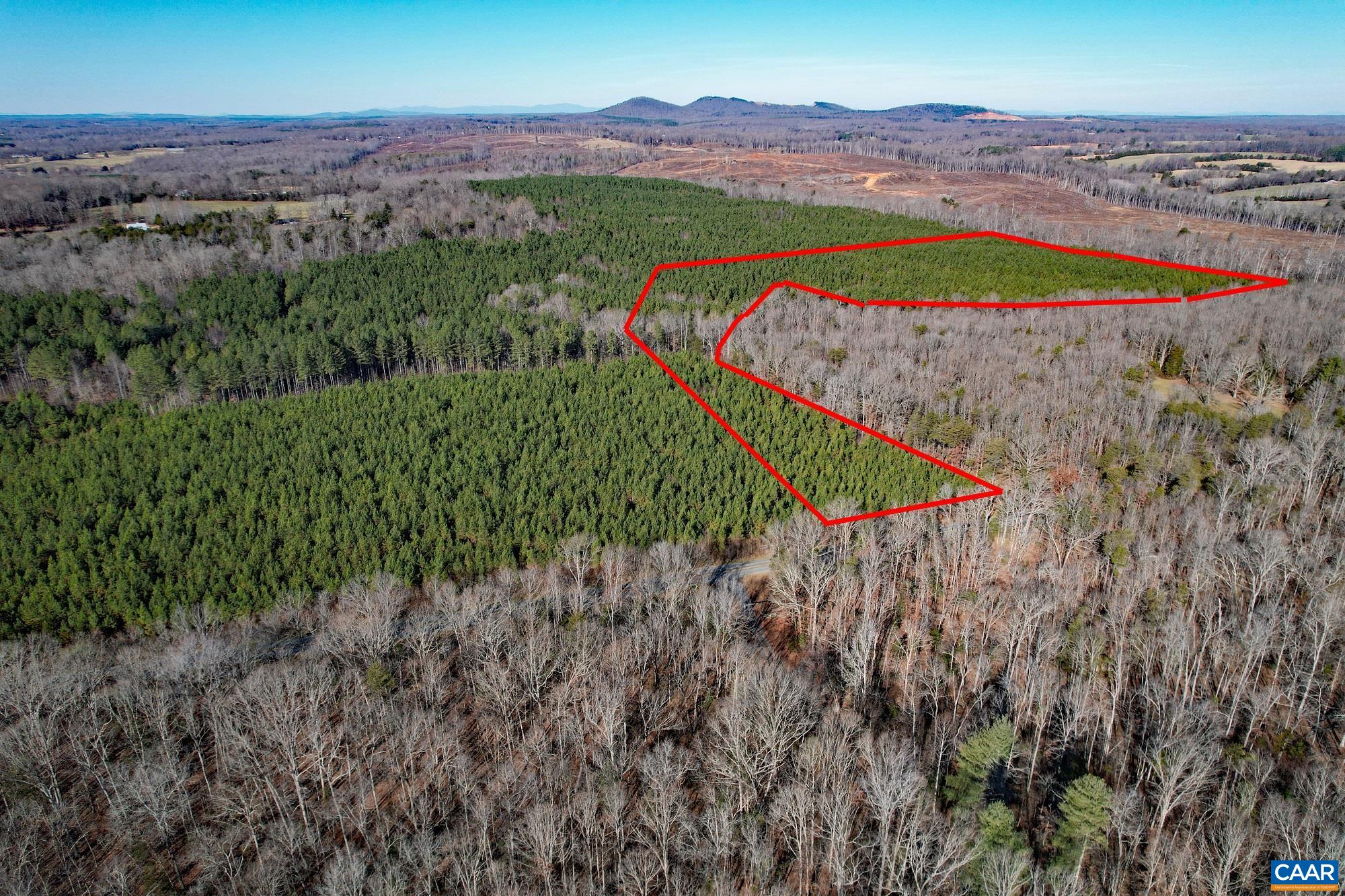 Lot 5 Plank Road Dillwyn, VA 23936 - Photo 2 of 26 Gallery Image 2