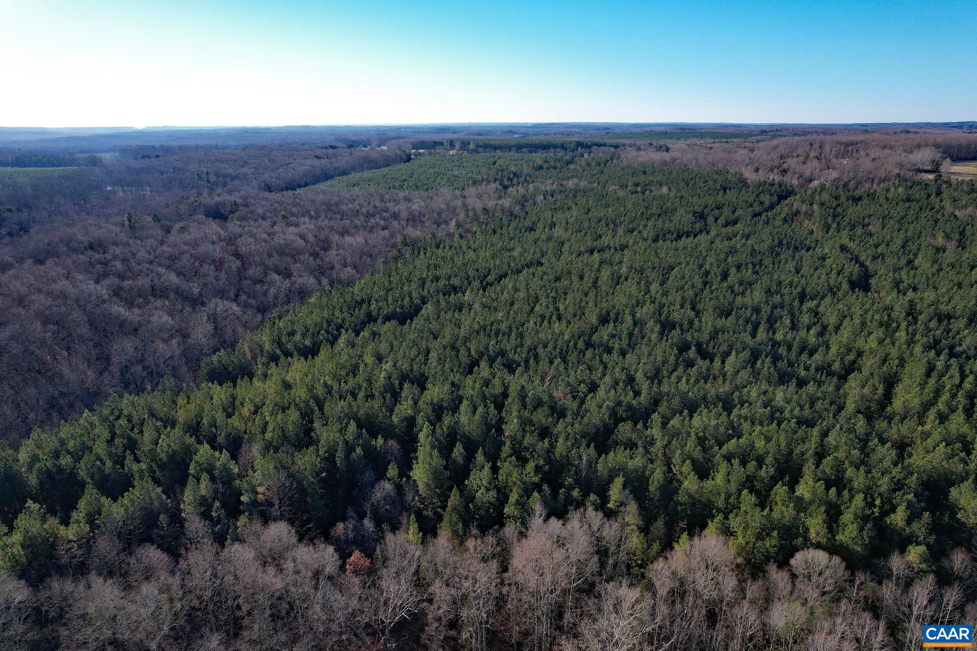 Lot 5 Plank Road Dillwyn, VA 23936 - Photo 5 of 26 Gallery Image 5