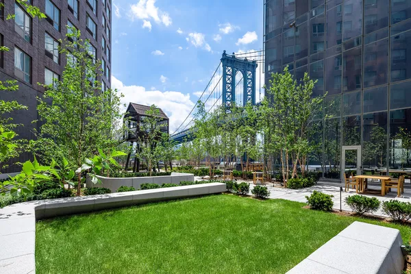 a view of a backyard with potted plants and large tree
