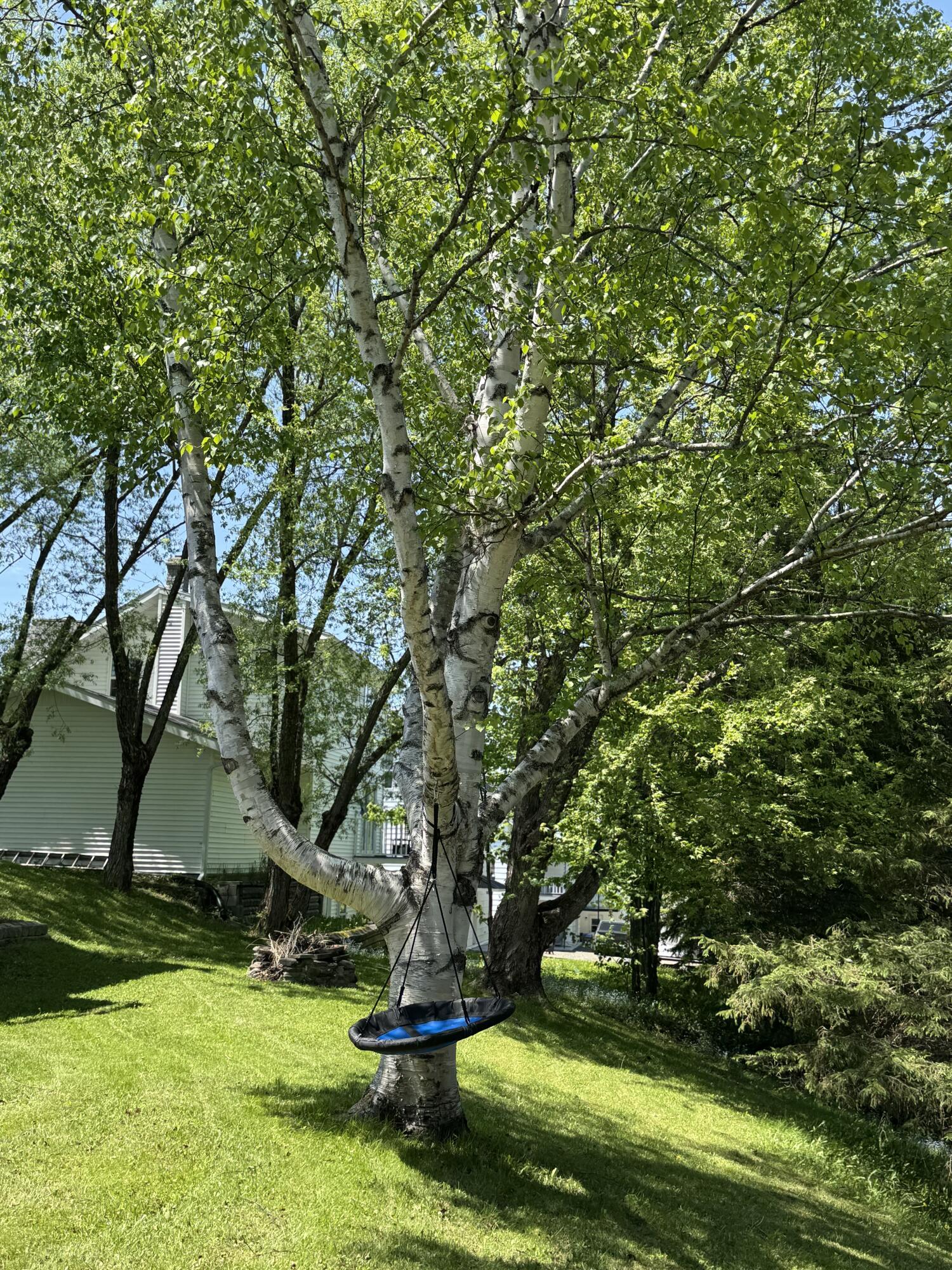 426 Spring Street Madawaska, ME 04756 - Photo 81 of 118 IMG_9553
