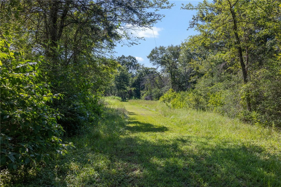 16135 Wilson Pasture Road Bryan, TX 77808 - Photo 13 of 29