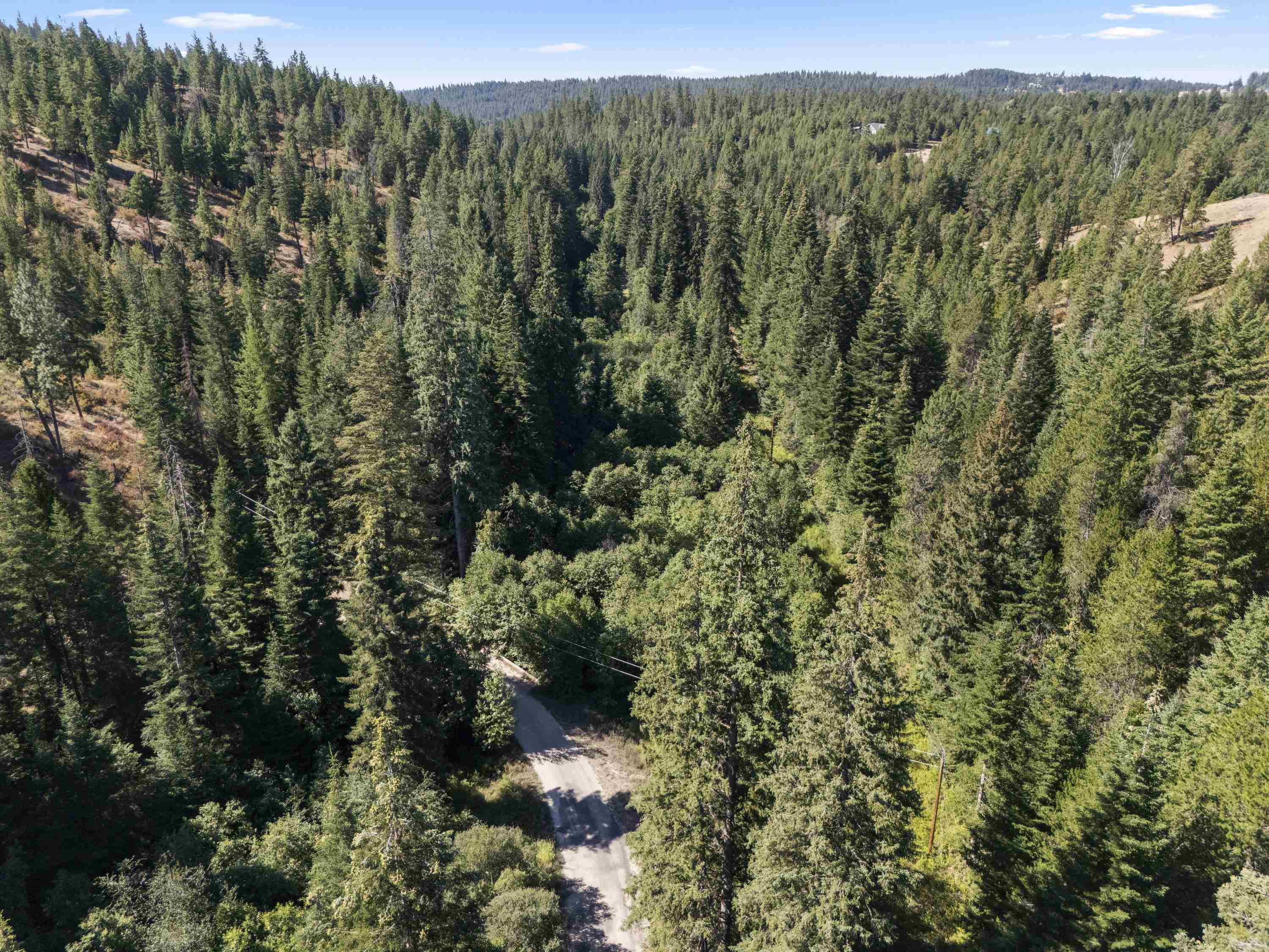 Tbd East Antler Road Chattaroy, WA 99003 - Photo 11 of 32