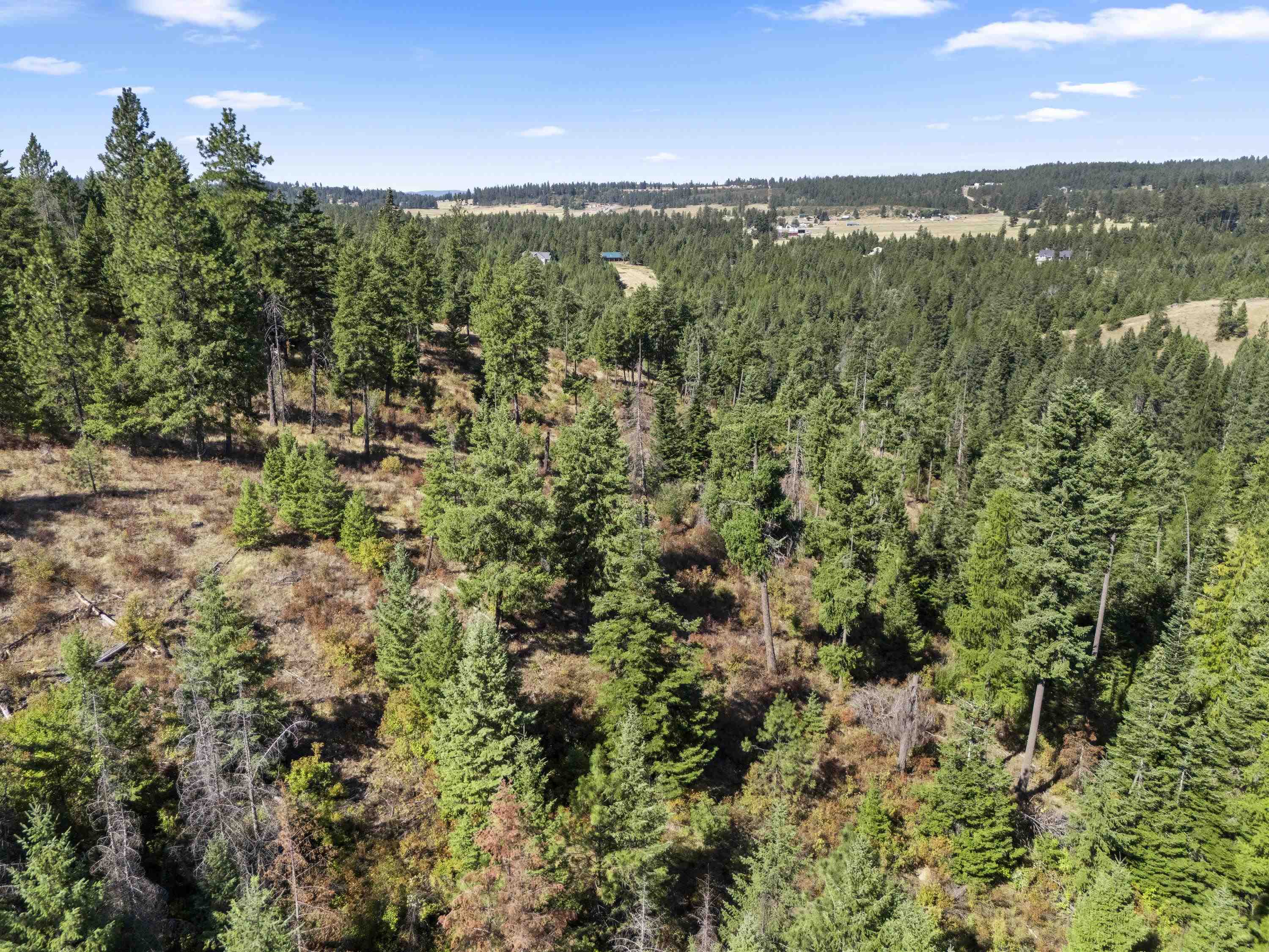 Tbd East Antler Road Chattaroy, WA 99003 - Photo 12 of 32