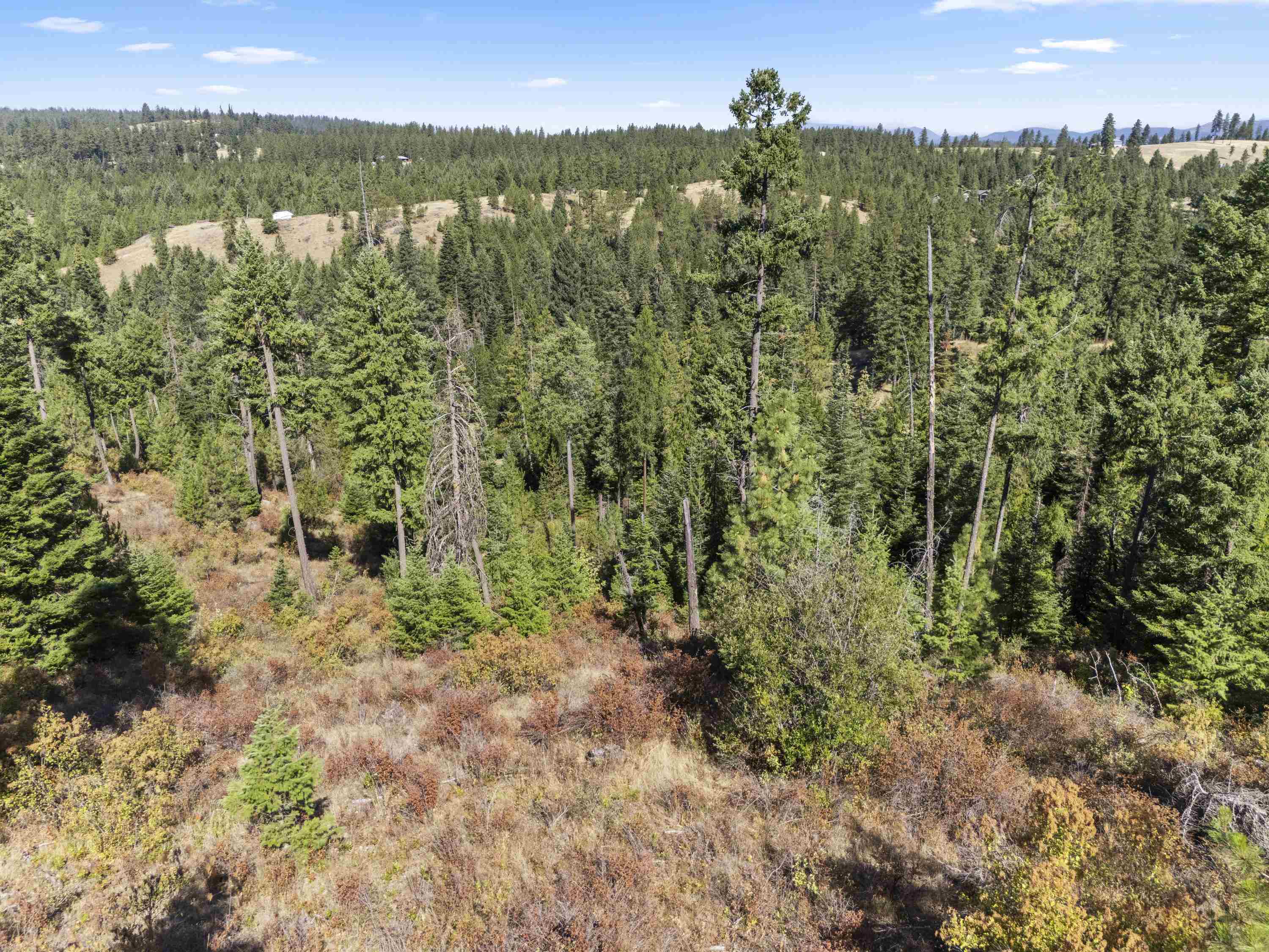 Tbd East Antler Road Chattaroy, WA 99003 - Photo 13 of 32