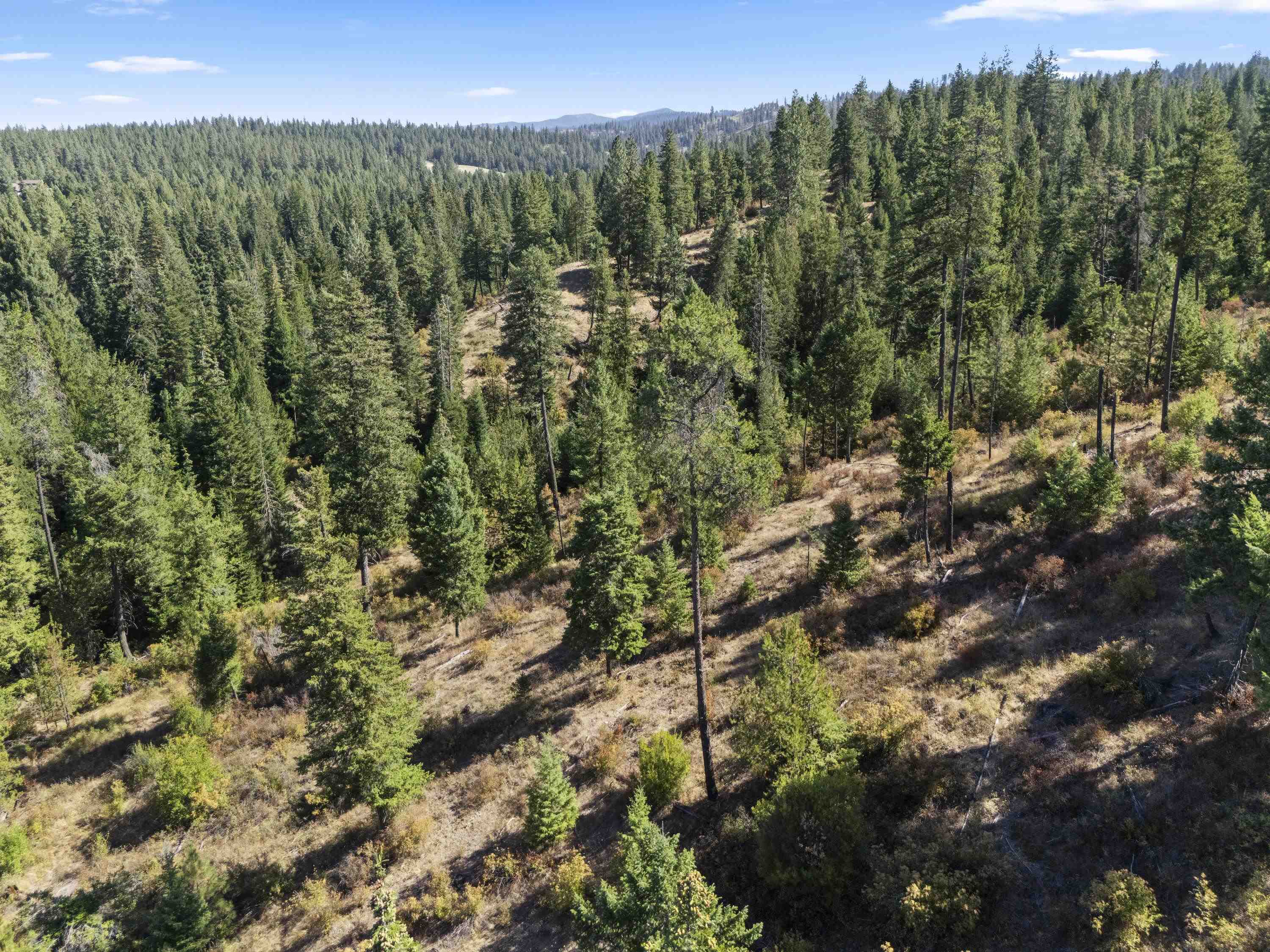 Tbd East Antler Road Chattaroy, WA 99003 - Photo 14 of 32