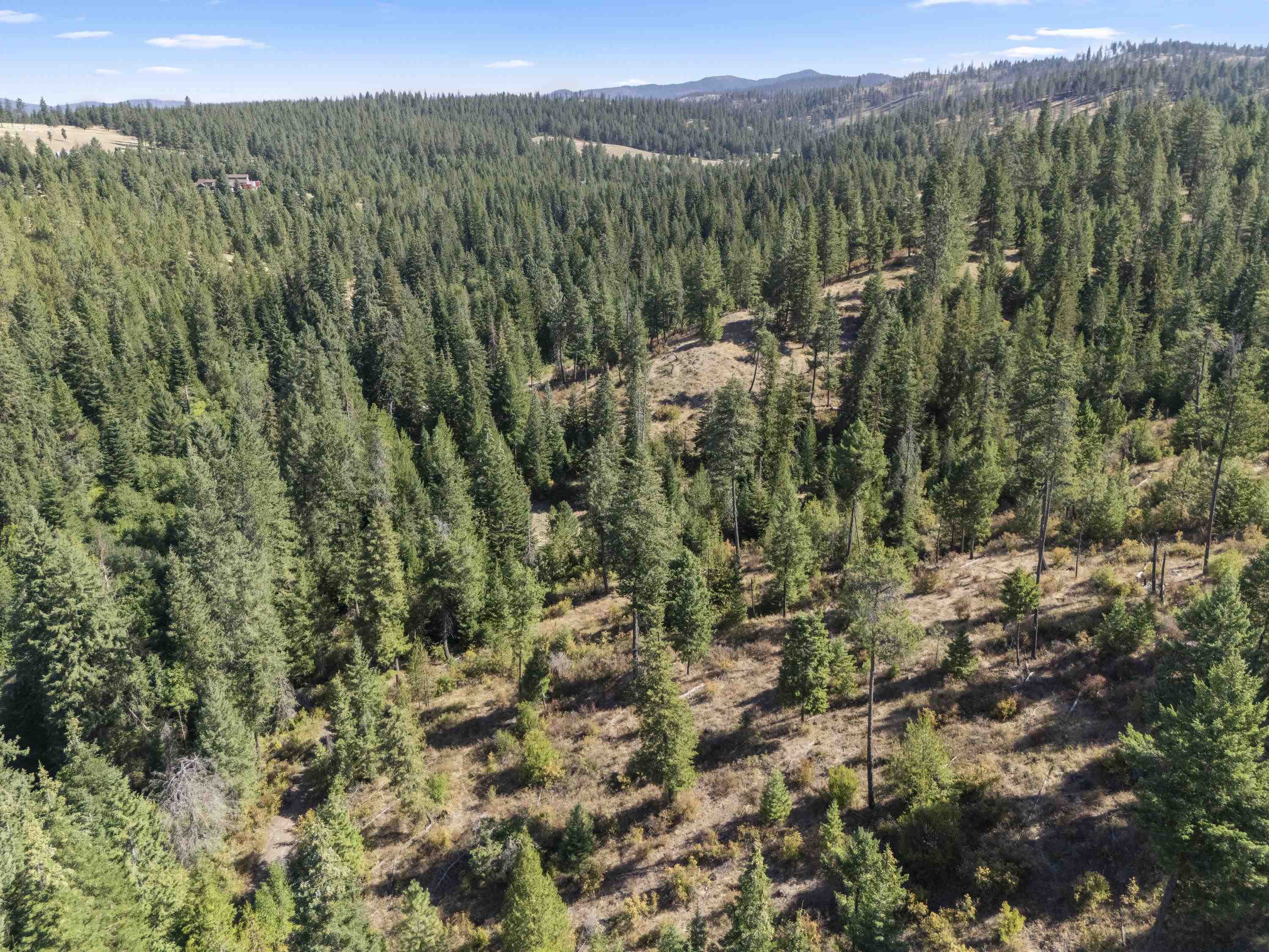 Tbd East Antler Road Chattaroy, WA 99003 - Photo 15 of 32