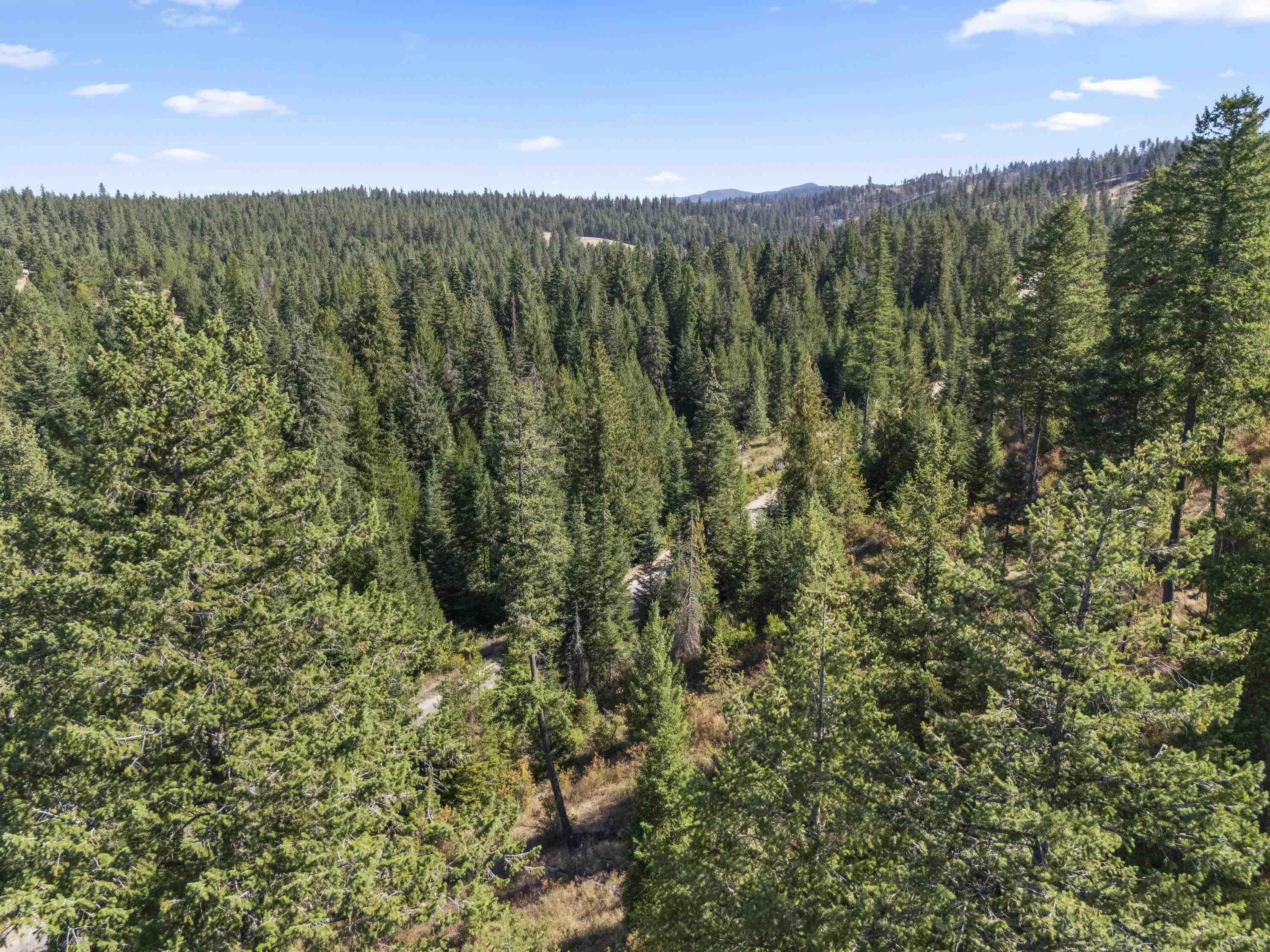 Tbd East Antler Road Chattaroy, WA 99003 - Photo 20 of 32