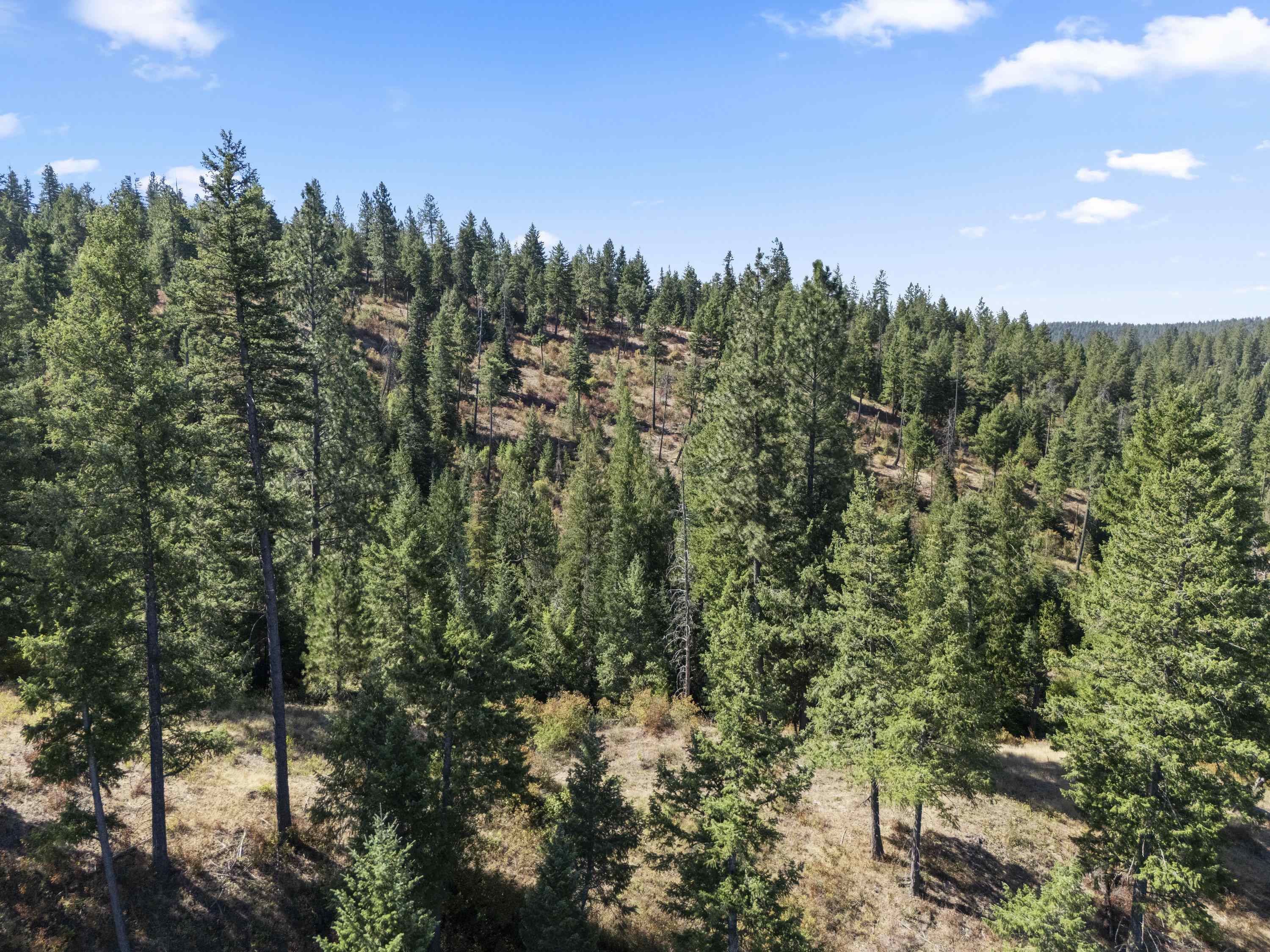 Tbd East Antler Road Chattaroy, WA 99003 - Photo 21 of 32