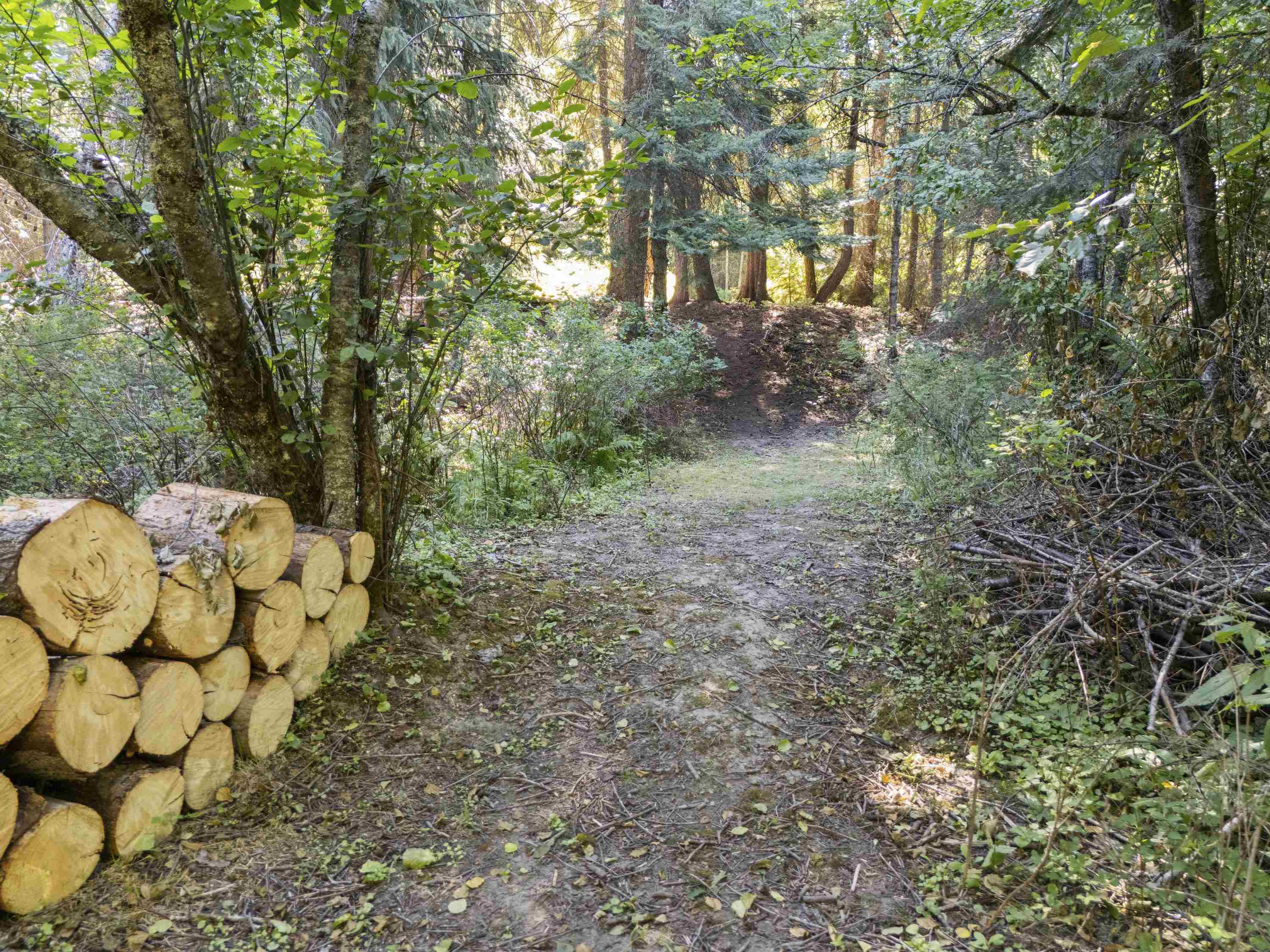 Tbd East Antler Road Chattaroy, WA 99003 - Photo 23 of 32