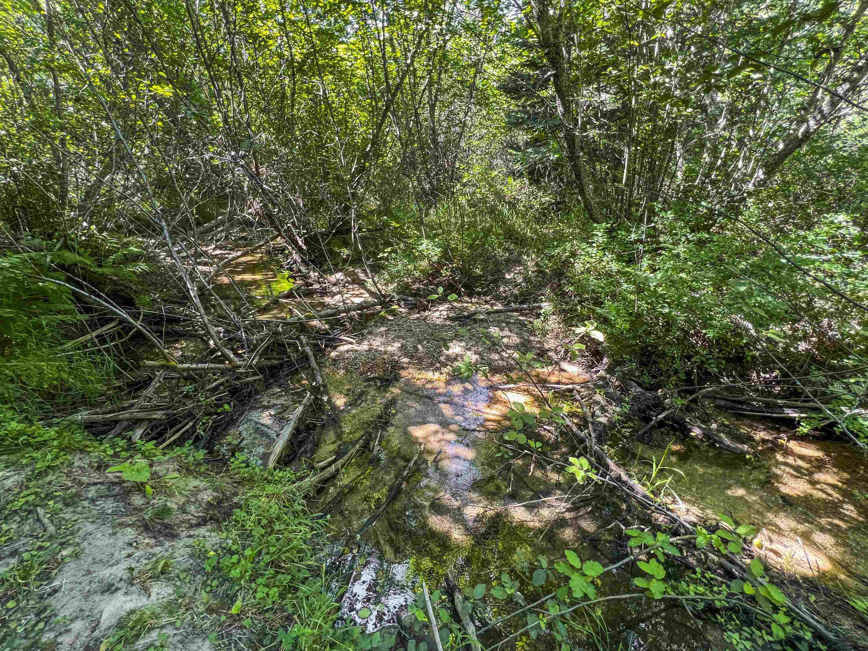 Tbd East Antler Road Chattaroy, WA 99003 - Photo 26 of 32