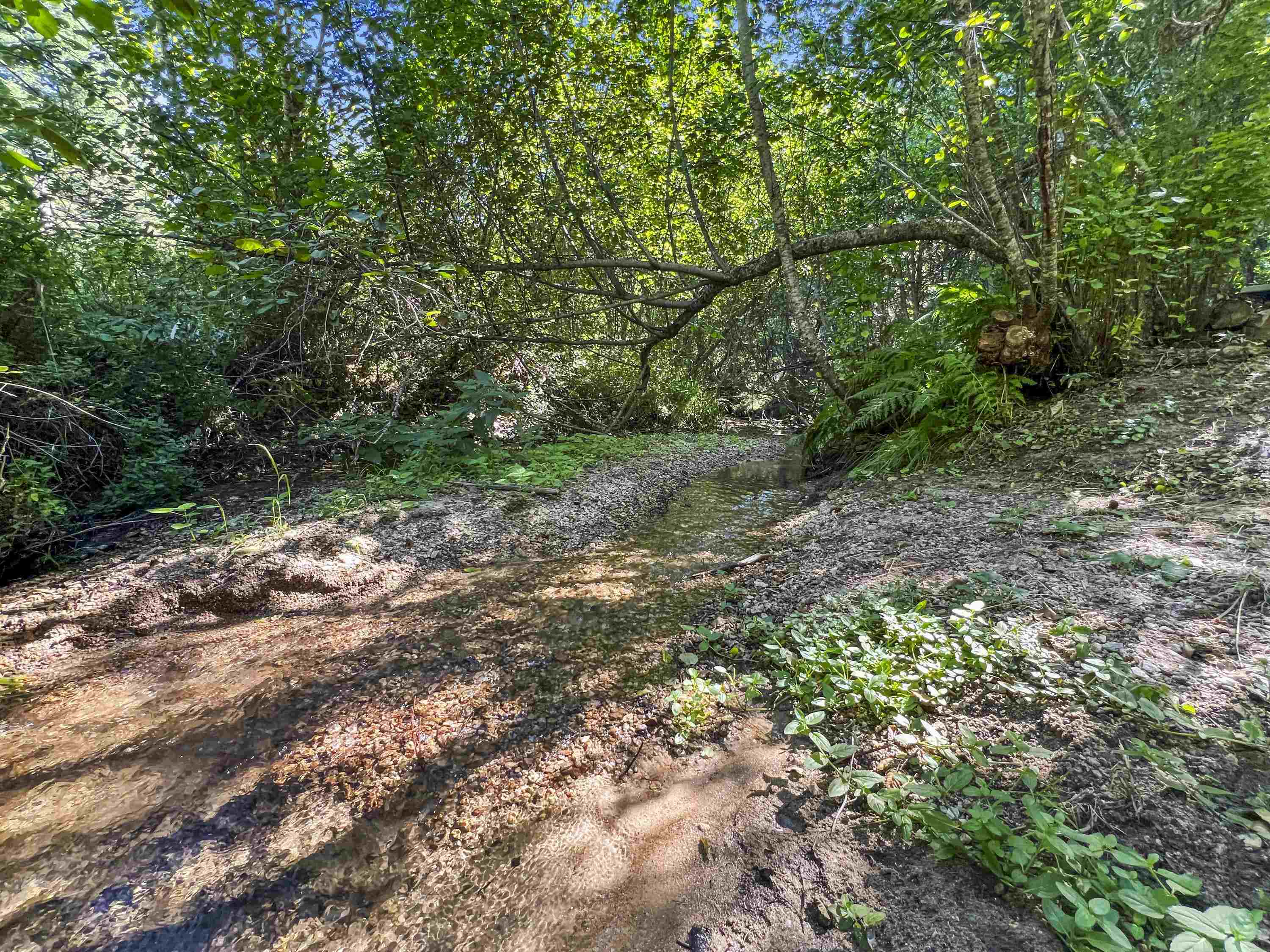 Tbd East Antler Road Chattaroy, WA 99003 - Photo 29 of 32