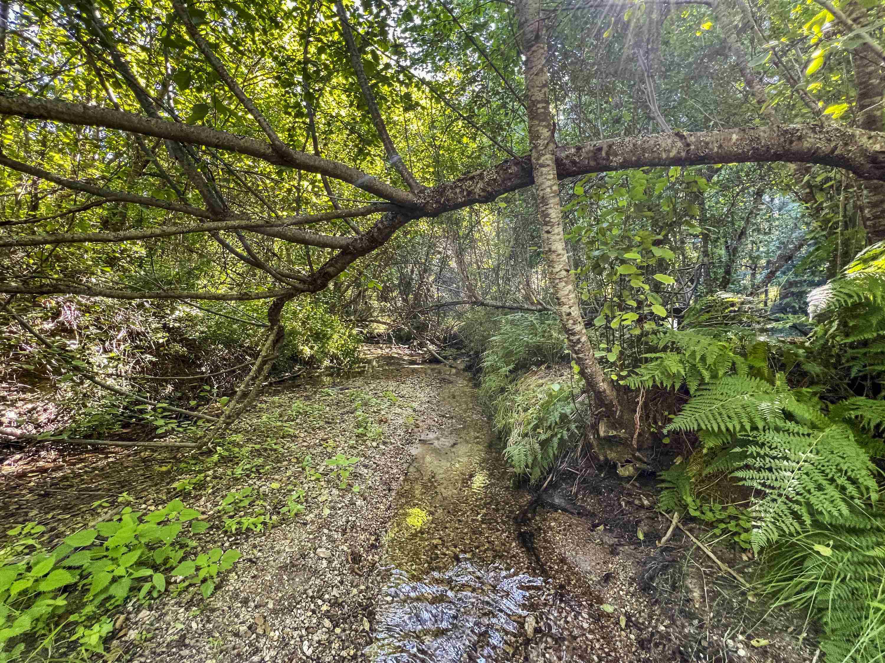 Tbd East Antler Road Chattaroy, WA 99003 - Photo 30 of 32