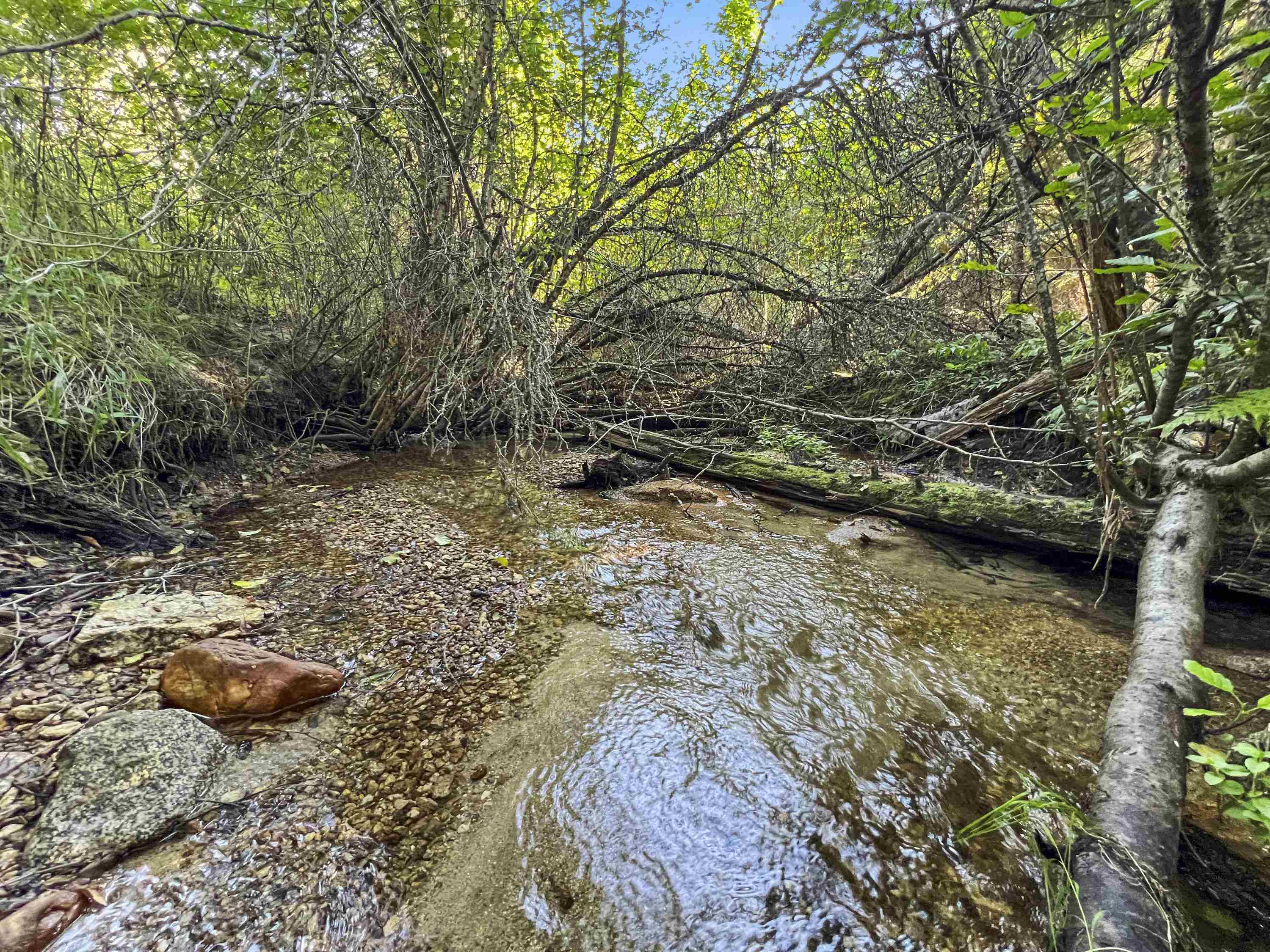Tbd East Antler Road Chattaroy, WA 99003 - Photo 31 of 32