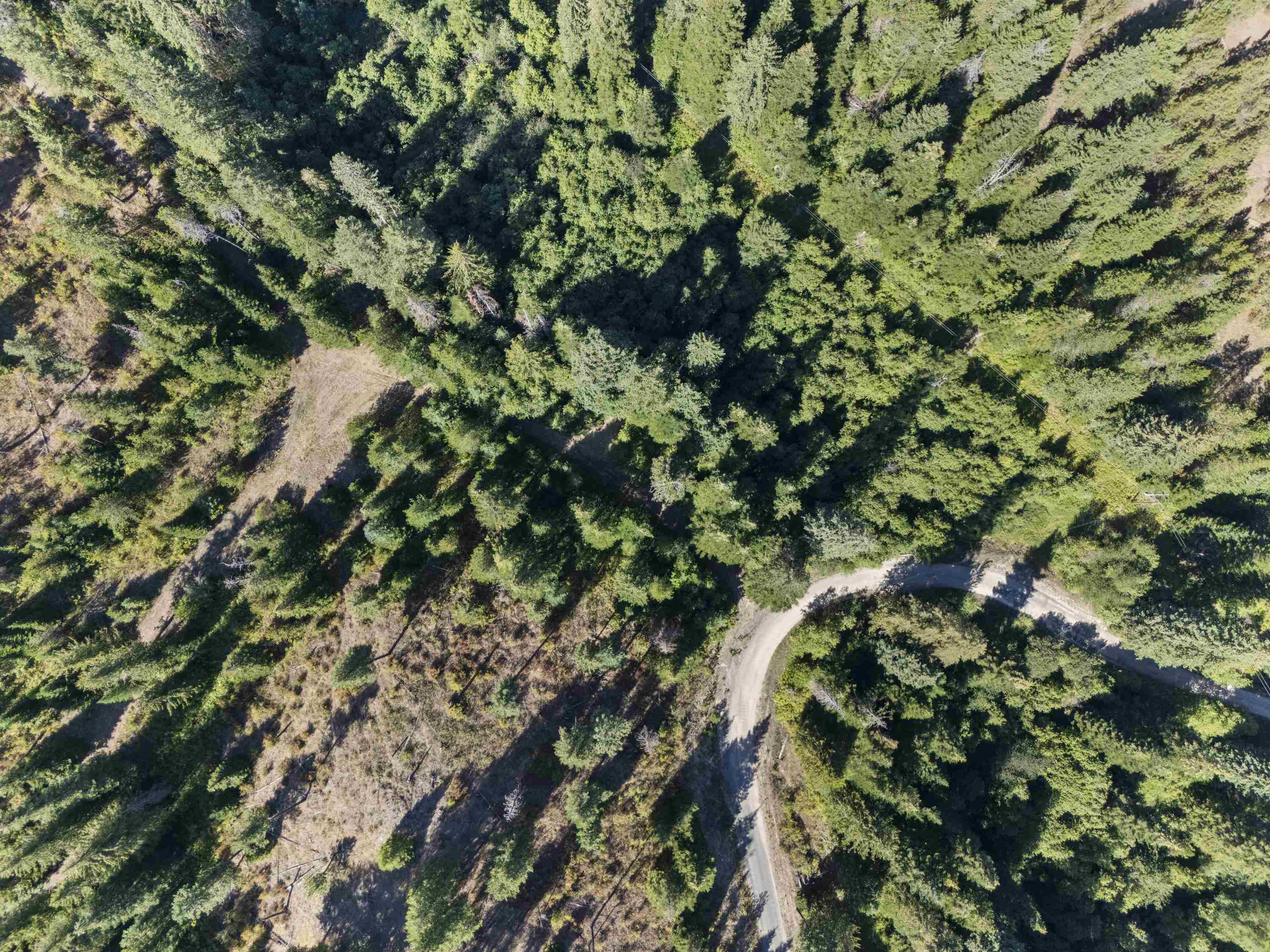 Tbd East Antler Road Chattaroy, WA 99003 - Photo 9 of 32